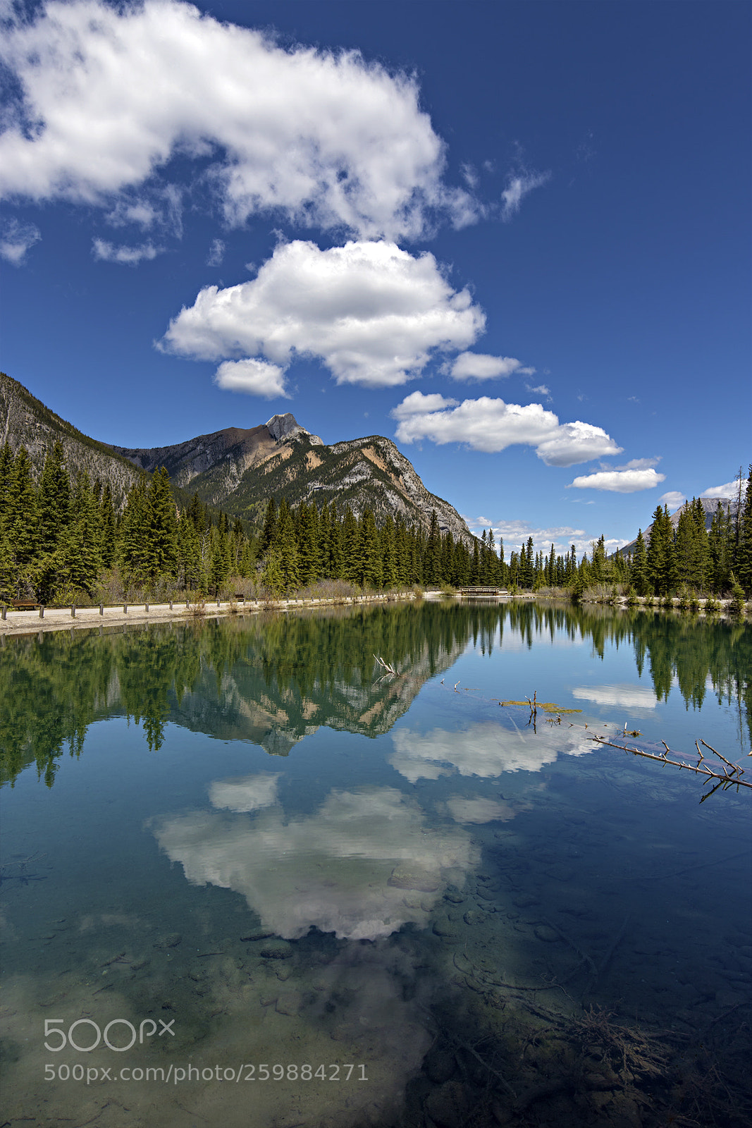 Canon EOS 6D Mark II sample photo. Fleecy clouds over the photography