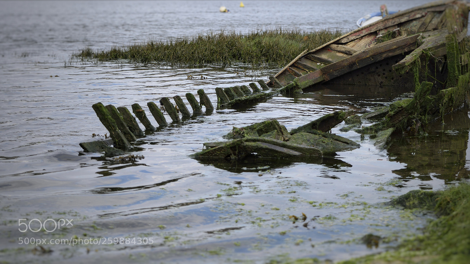 Nikon D3300 sample photo. It was a boat photography