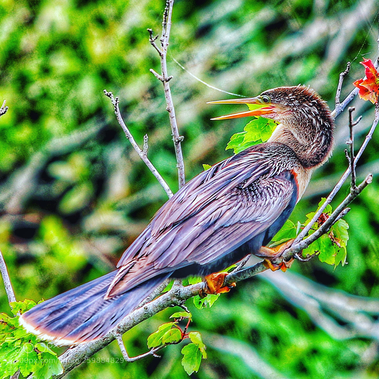 Canon EOS 80D sample photo. Untitled photography