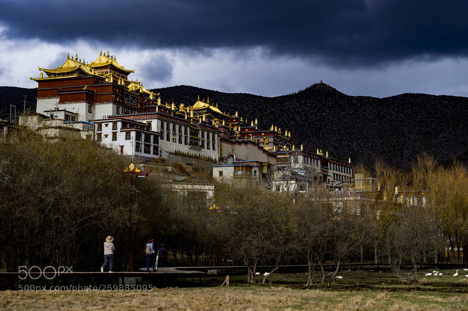 Sony a7 II sample photo. 松赞林寺/the songzanlin monastery photography