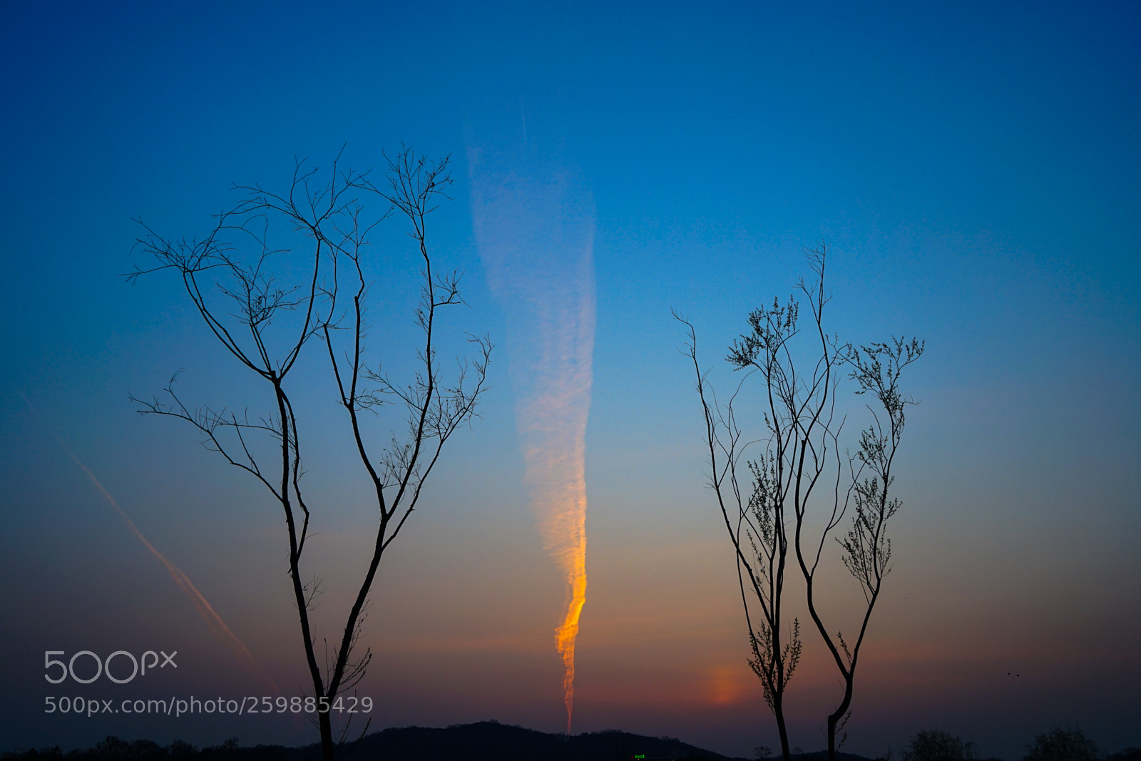 Sony a7 II sample photo. Dsc photography
