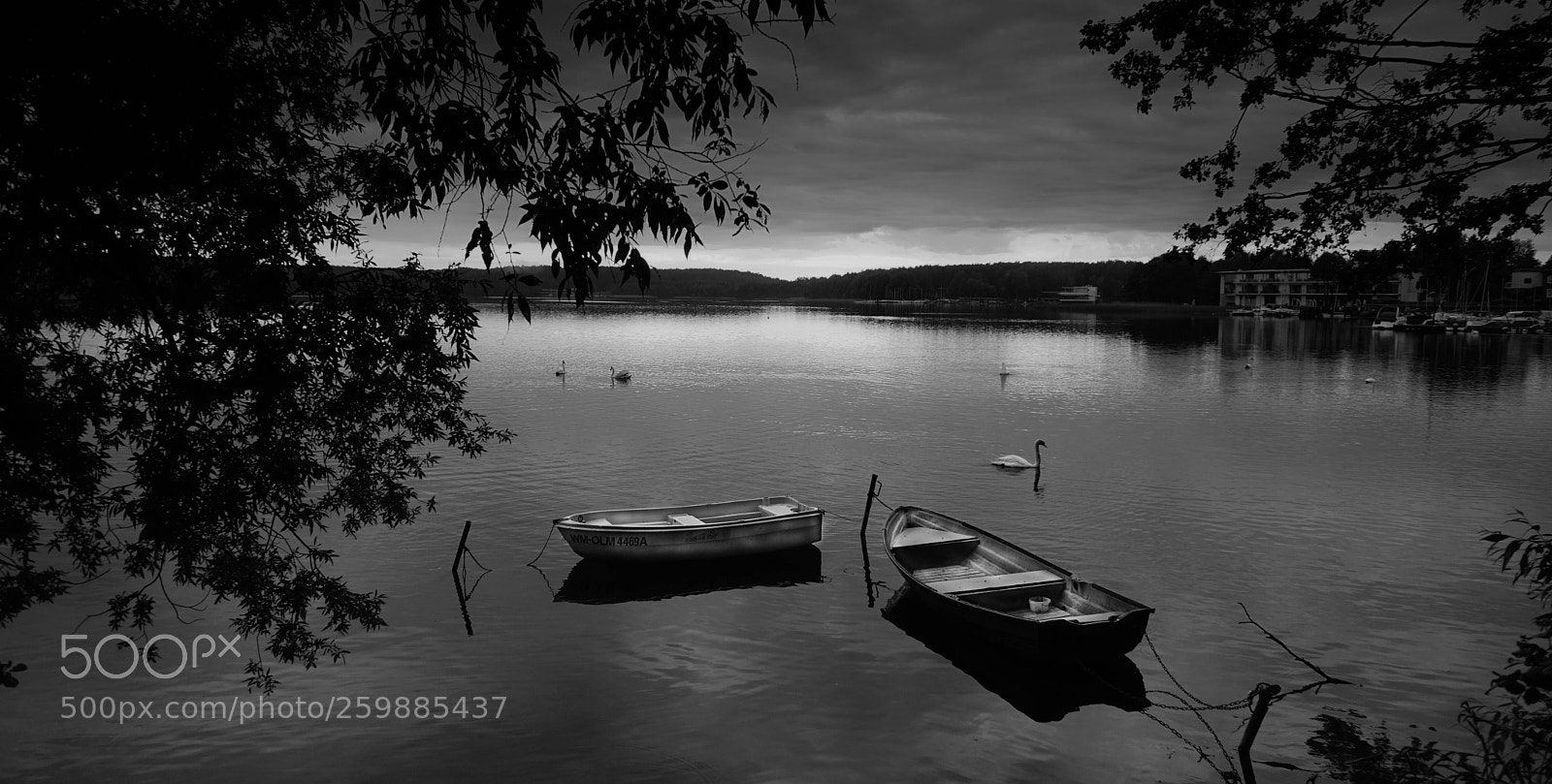Sony a6000 sample photo. Ukiel lake b&w photography