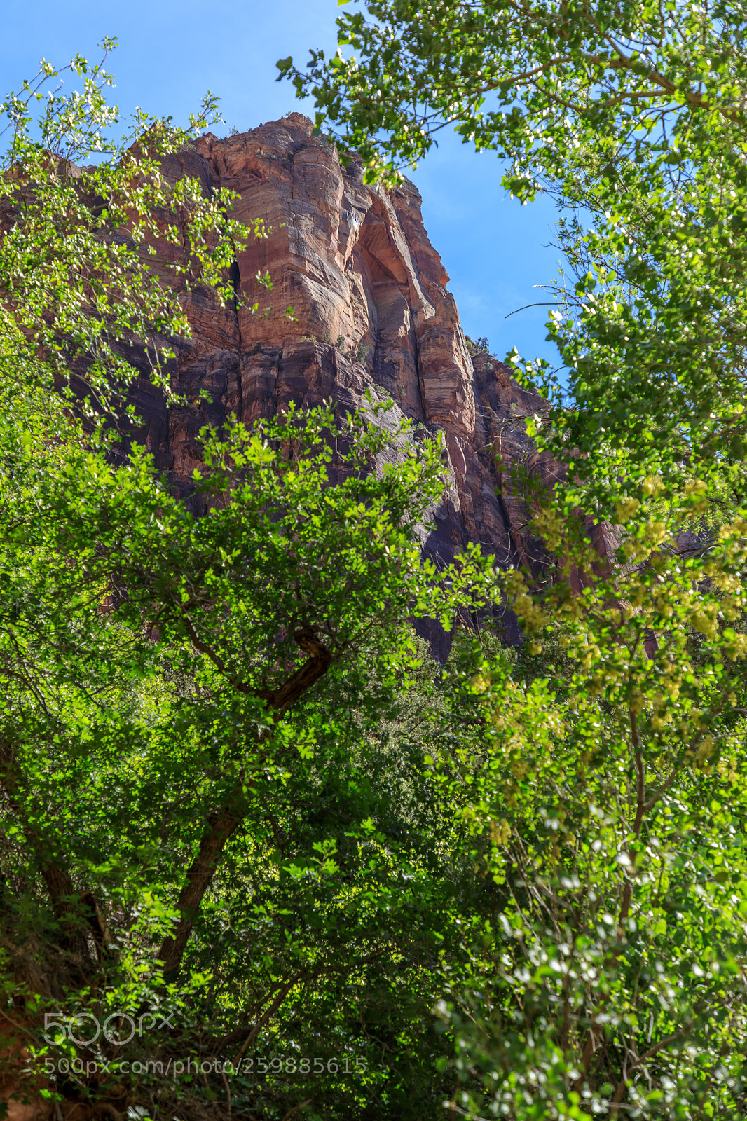 Canon EOS 5D Mark IV sample photo. Zion national park 0580 photography