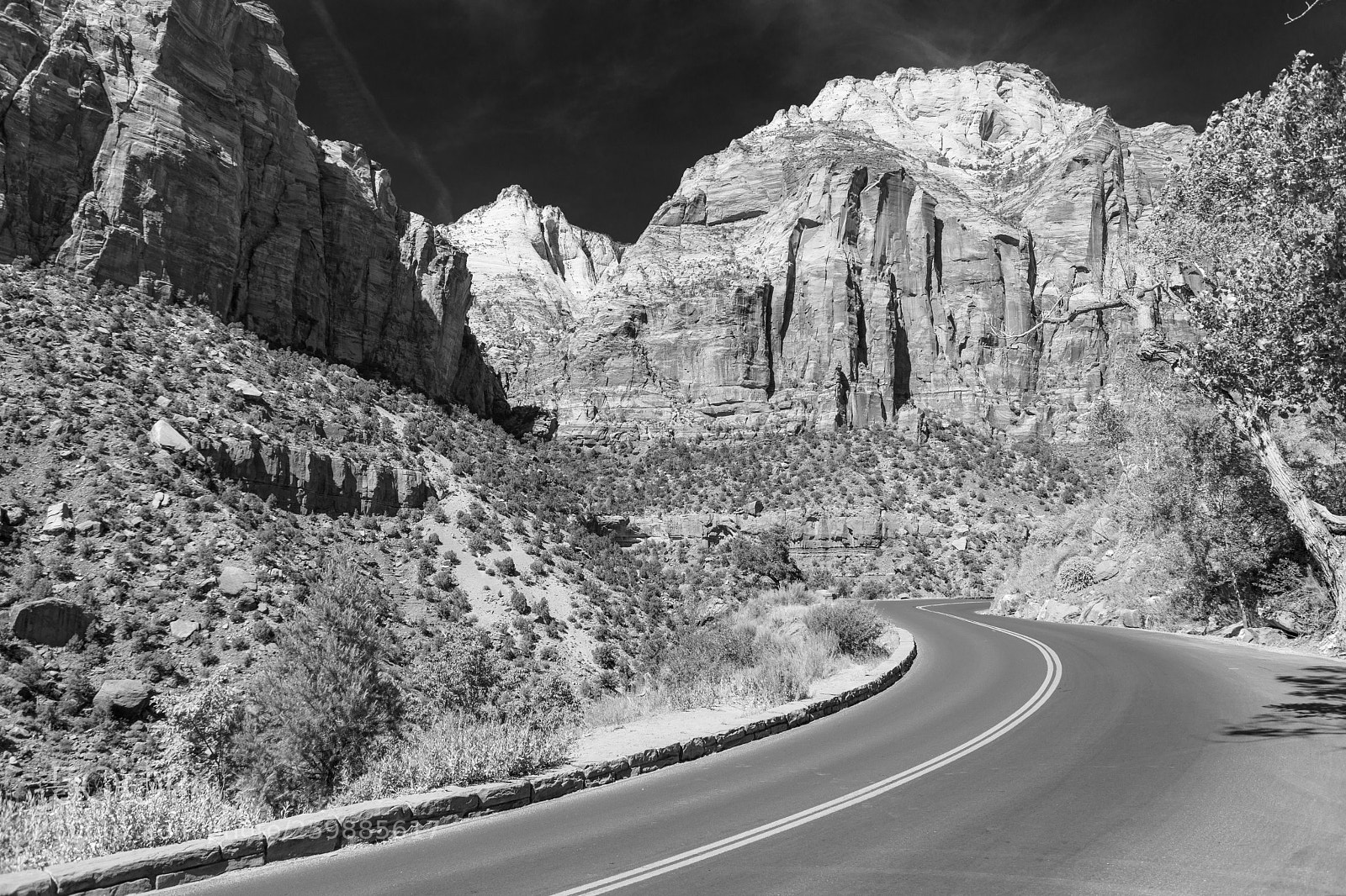 Canon EOS 5D Mark IV sample photo. Zion national park 0582 photography