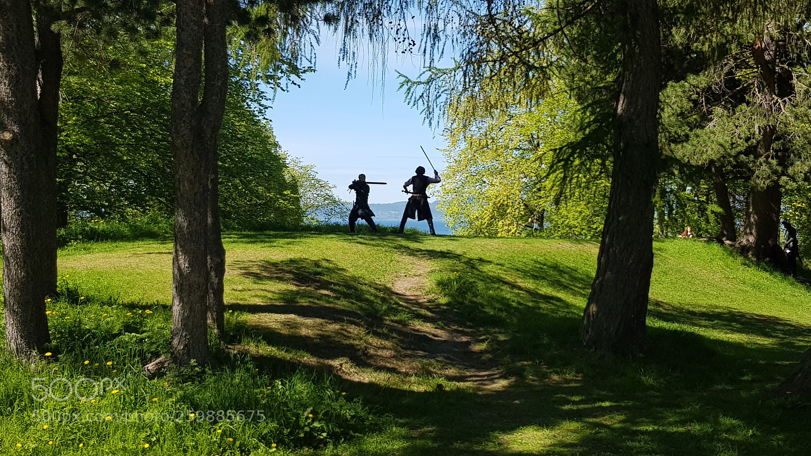 Samsung Galaxy S8 sample photo. Viking battle in norway photography