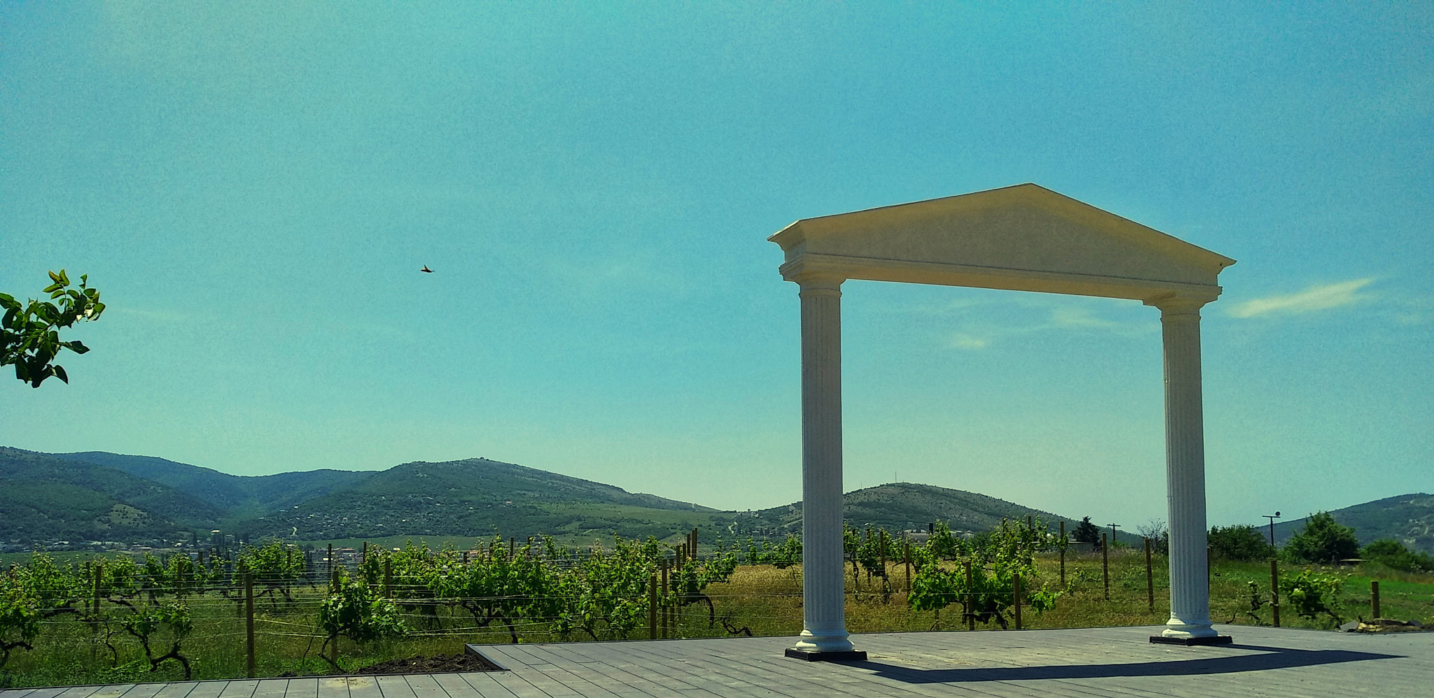 Xiaomi MI MAX 2 sample photo. Southern day photography