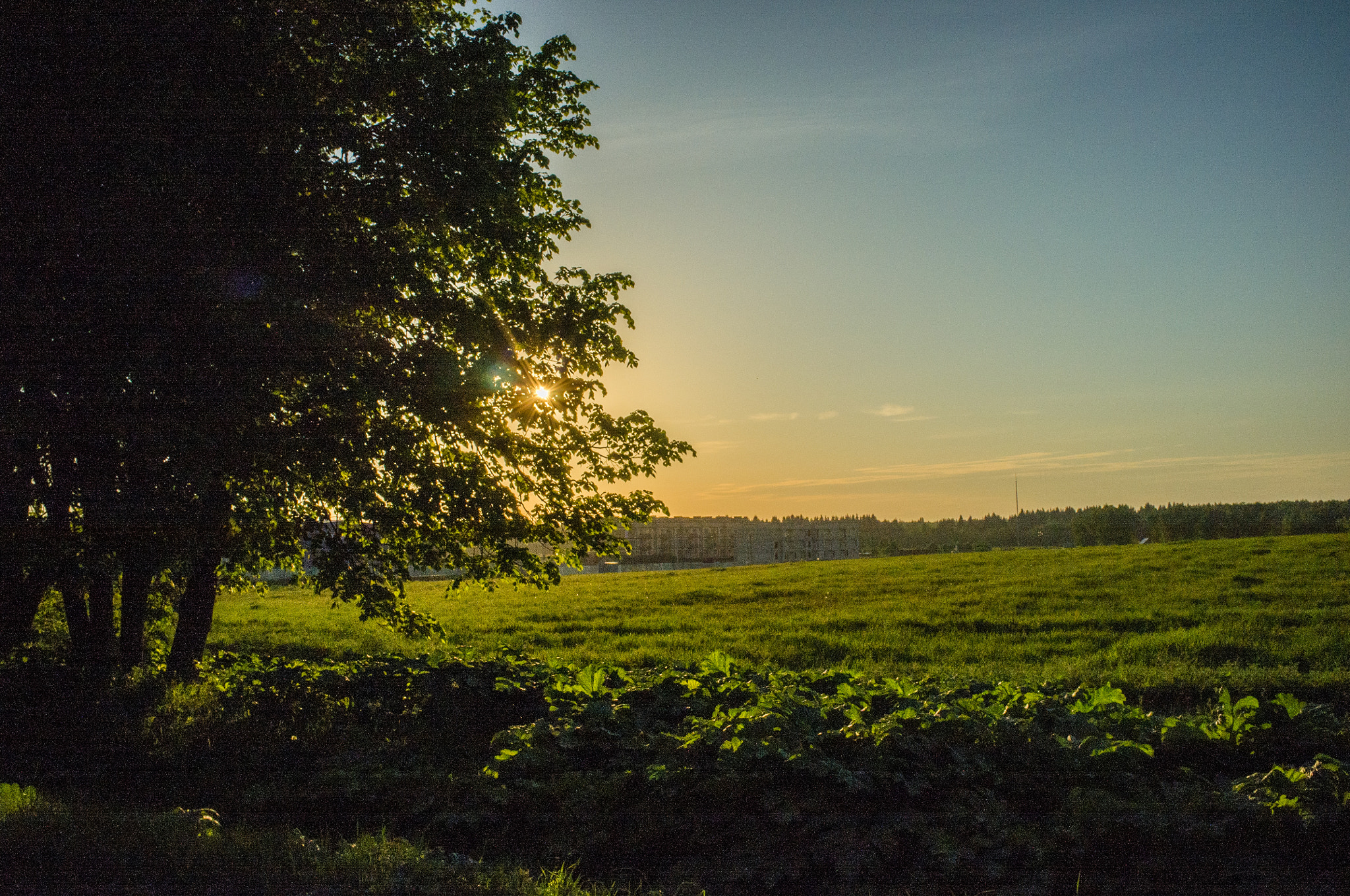 Fujifilm FinePix X100 sample photo. The sun on the way from ladoga photography