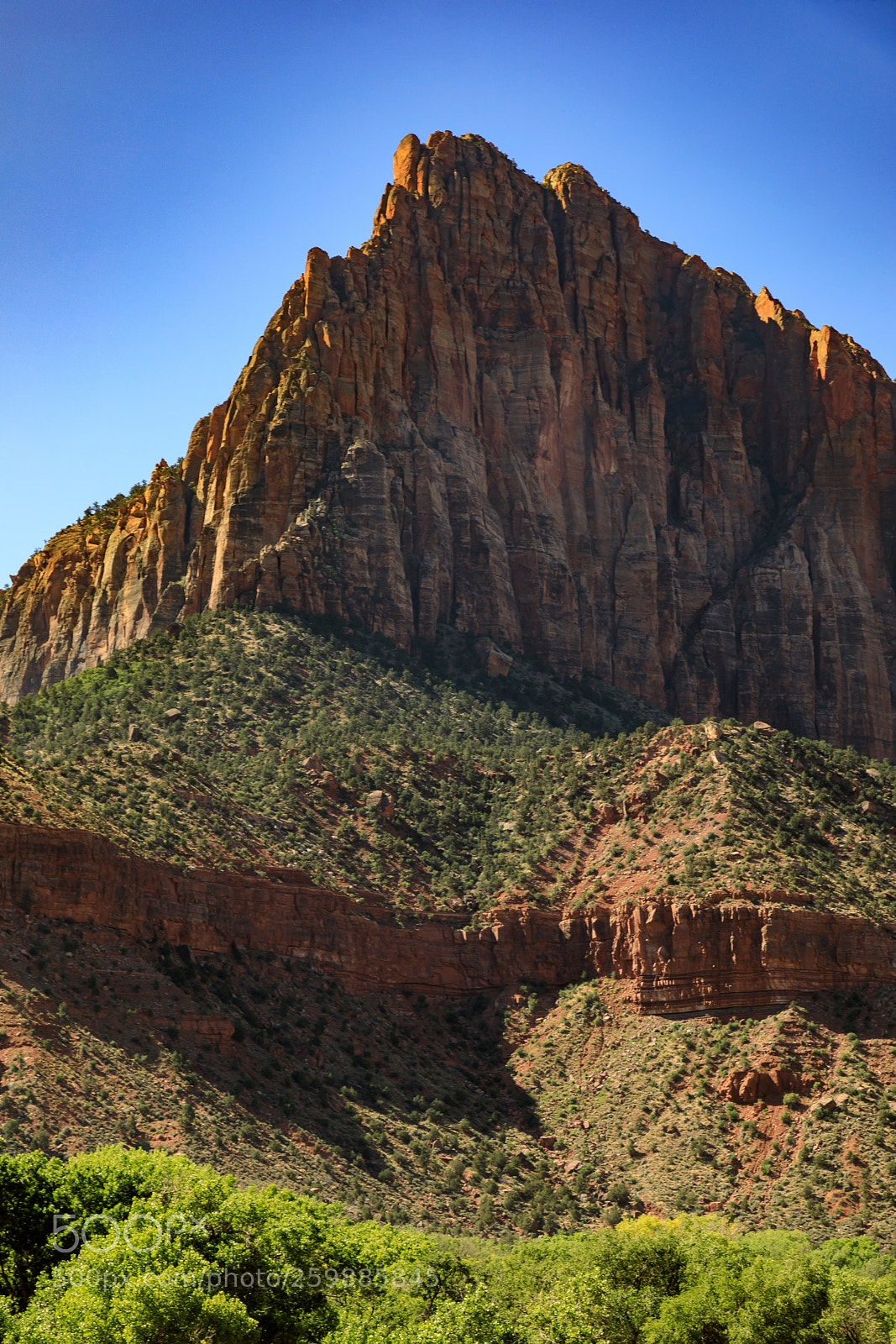 Canon EOS 5D Mark IV sample photo. Zion national park 1168 photography