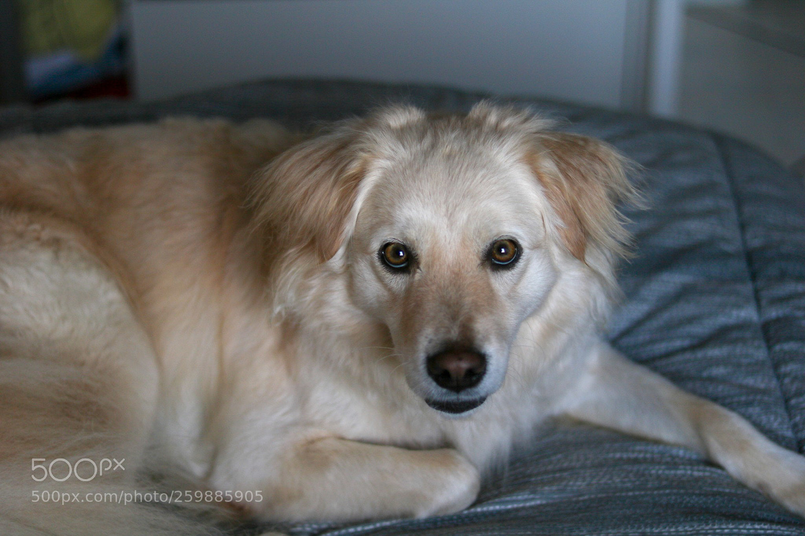Canon EOS 750D (EOS Rebel T6i / EOS Kiss X8i) sample photo. Megan photography