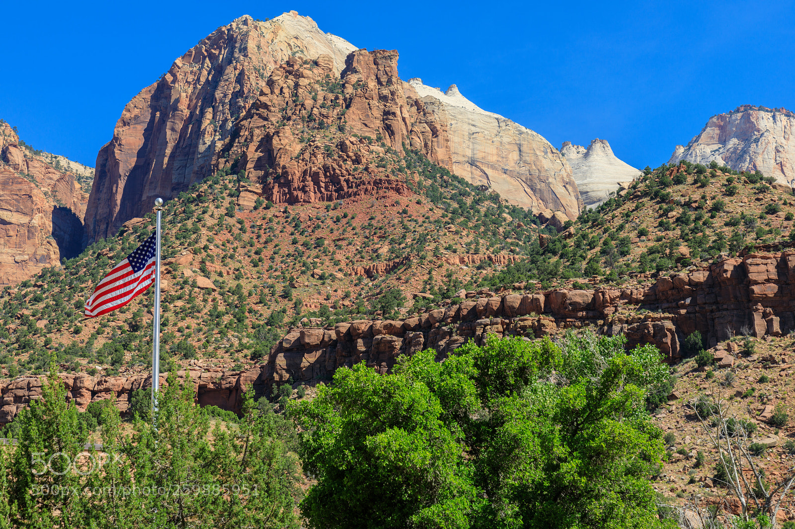 Canon EOS 5D Mark IV sample photo. Zion national park 1170 photography