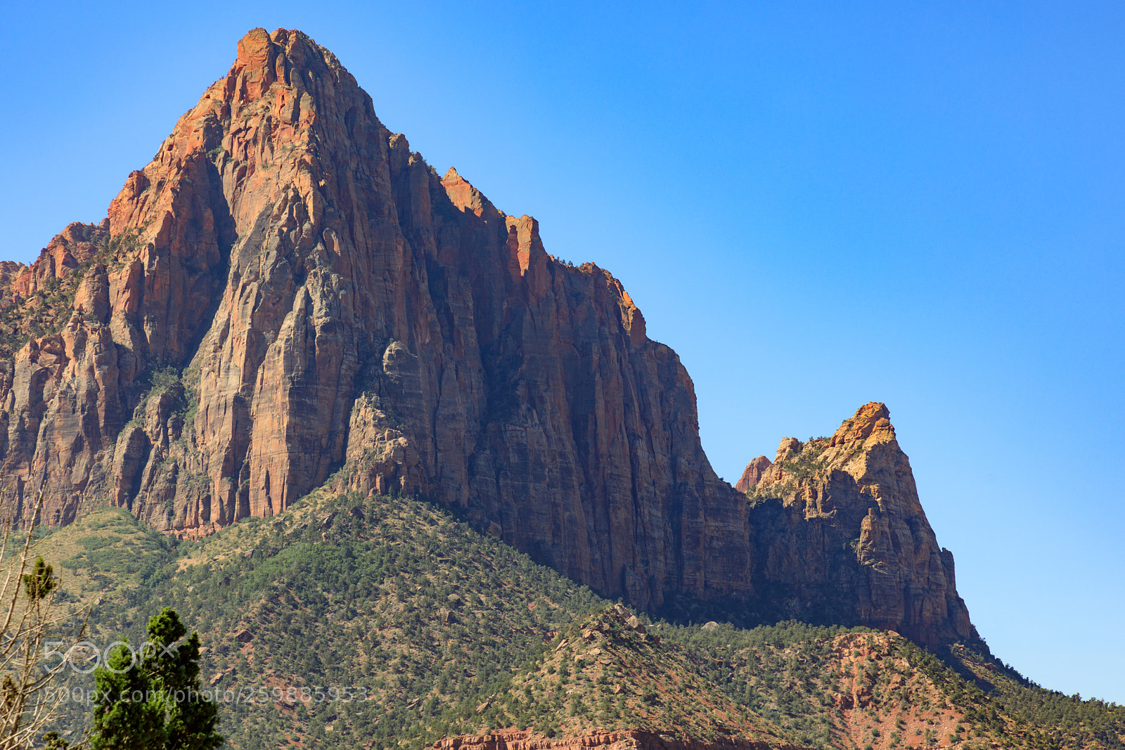 Canon EOS 5D Mark IV sample photo. Zion national park 1173 photography