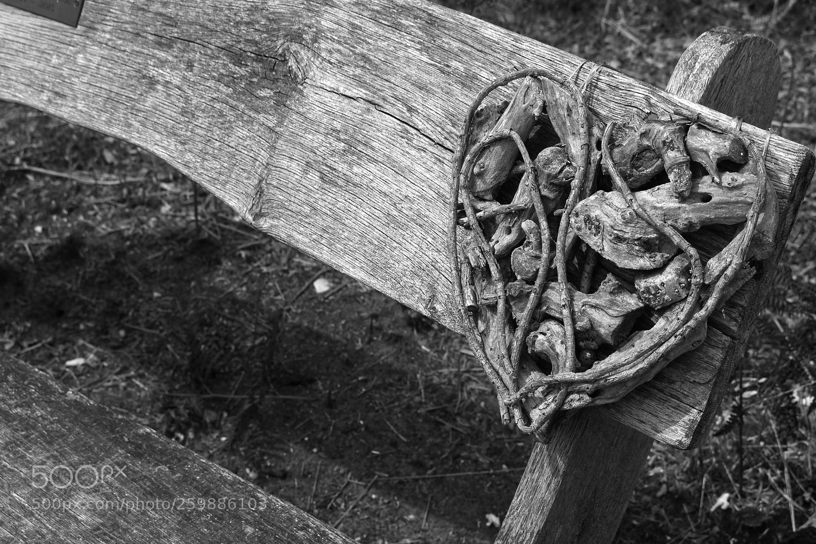 Canon EOS 750D (EOS Rebel T6i / EOS Kiss X8i) sample photo. Bench. photography