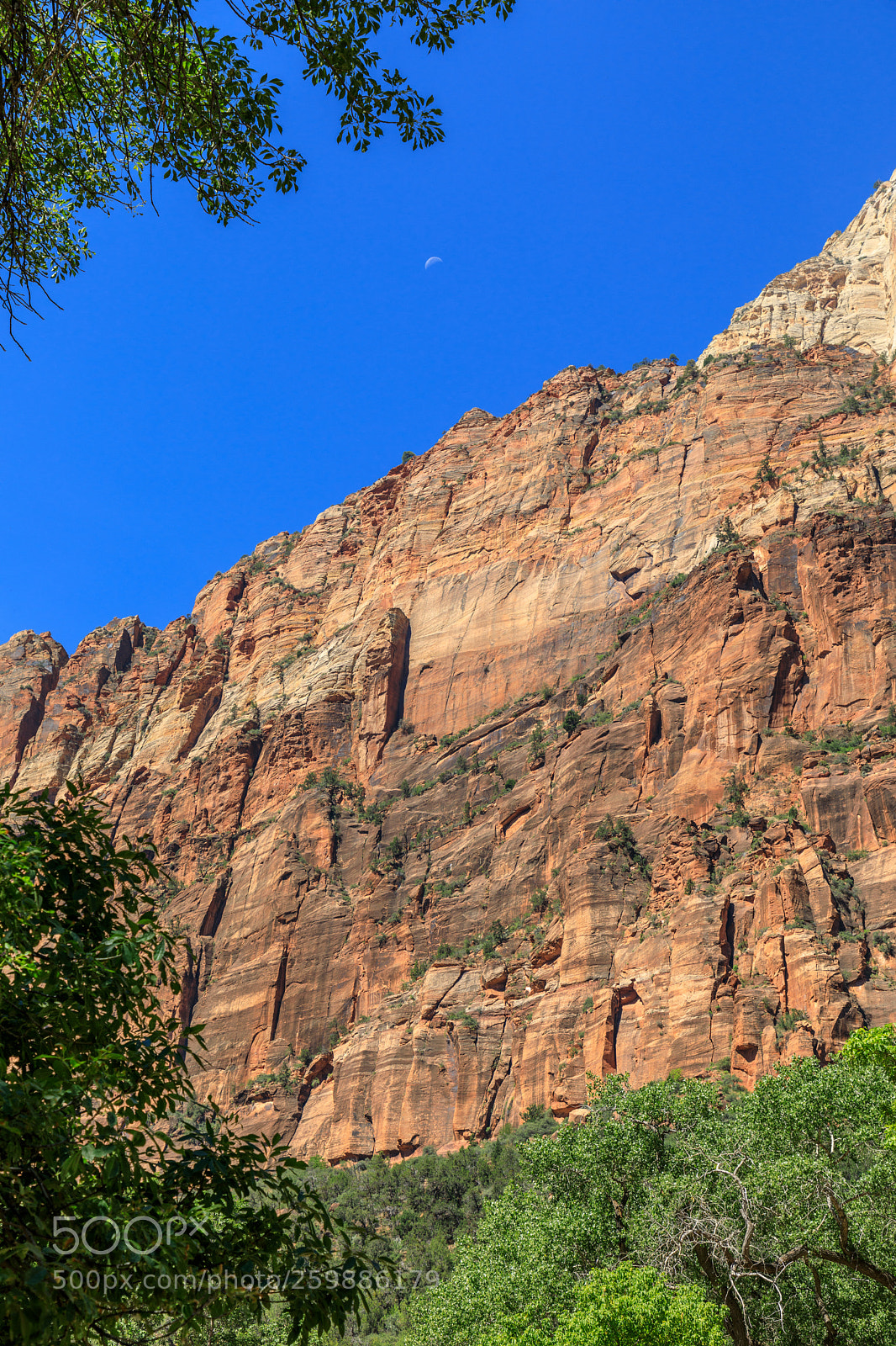 Canon EOS 5D Mark IV sample photo. Zion national park 1177 photography