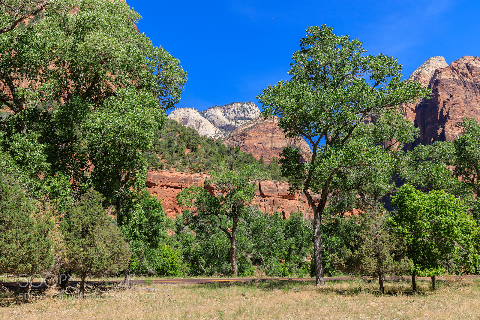Canon EOS 5D Mark IV sample photo. Zion national park 1183 photography