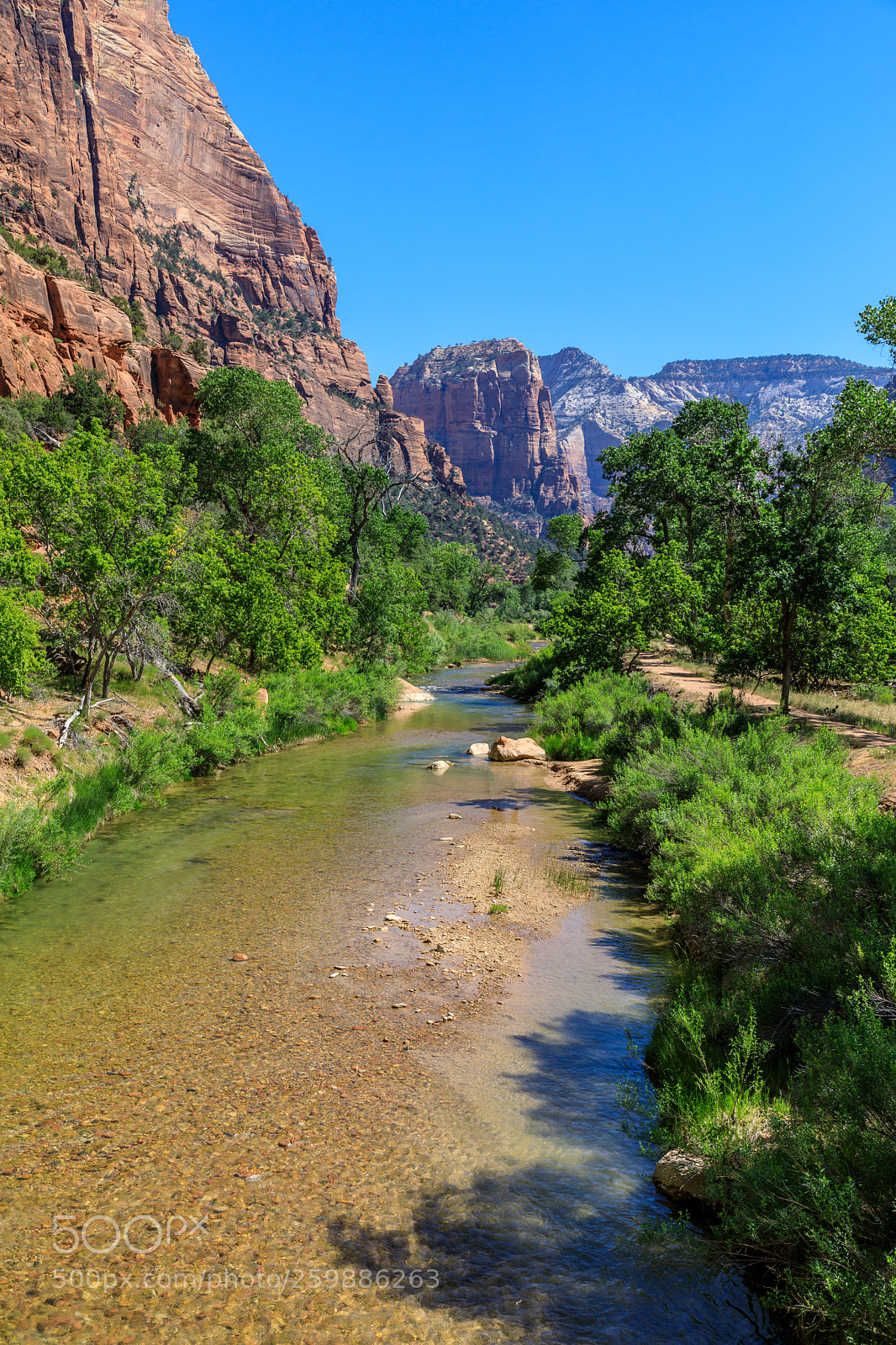 Canon EOS 5D Mark IV sample photo. Zion national park 1194 photography
