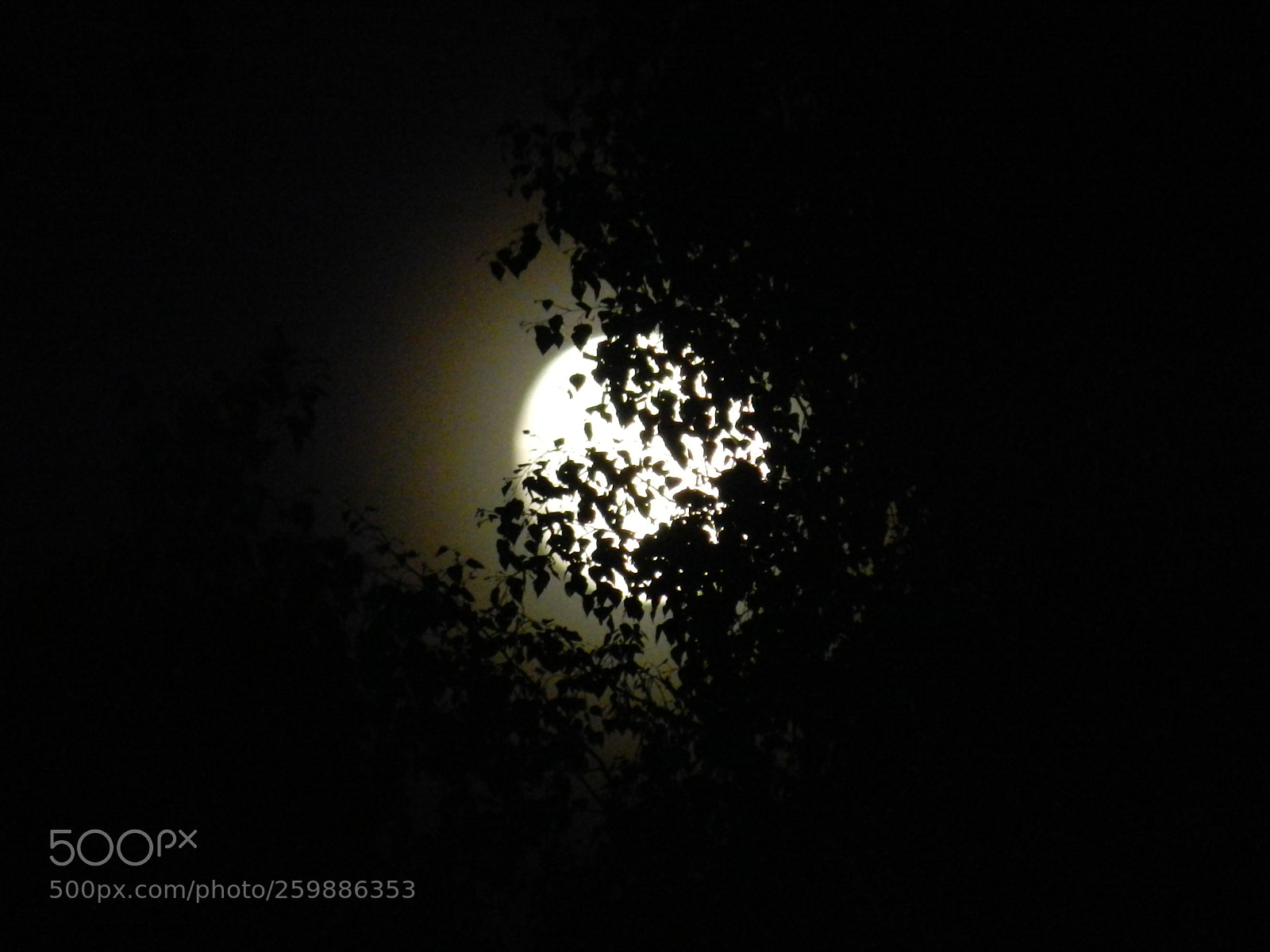 Nikon Coolpix P500 sample photo. Night photography