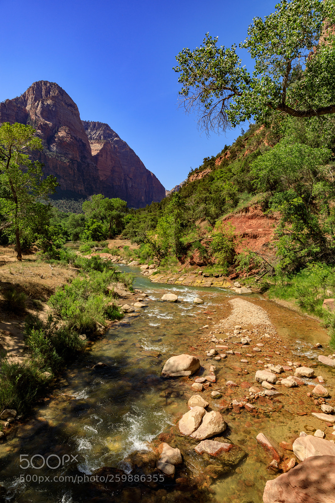Canon EOS 5D Mark IV sample photo. Zion national park 1195 photography
