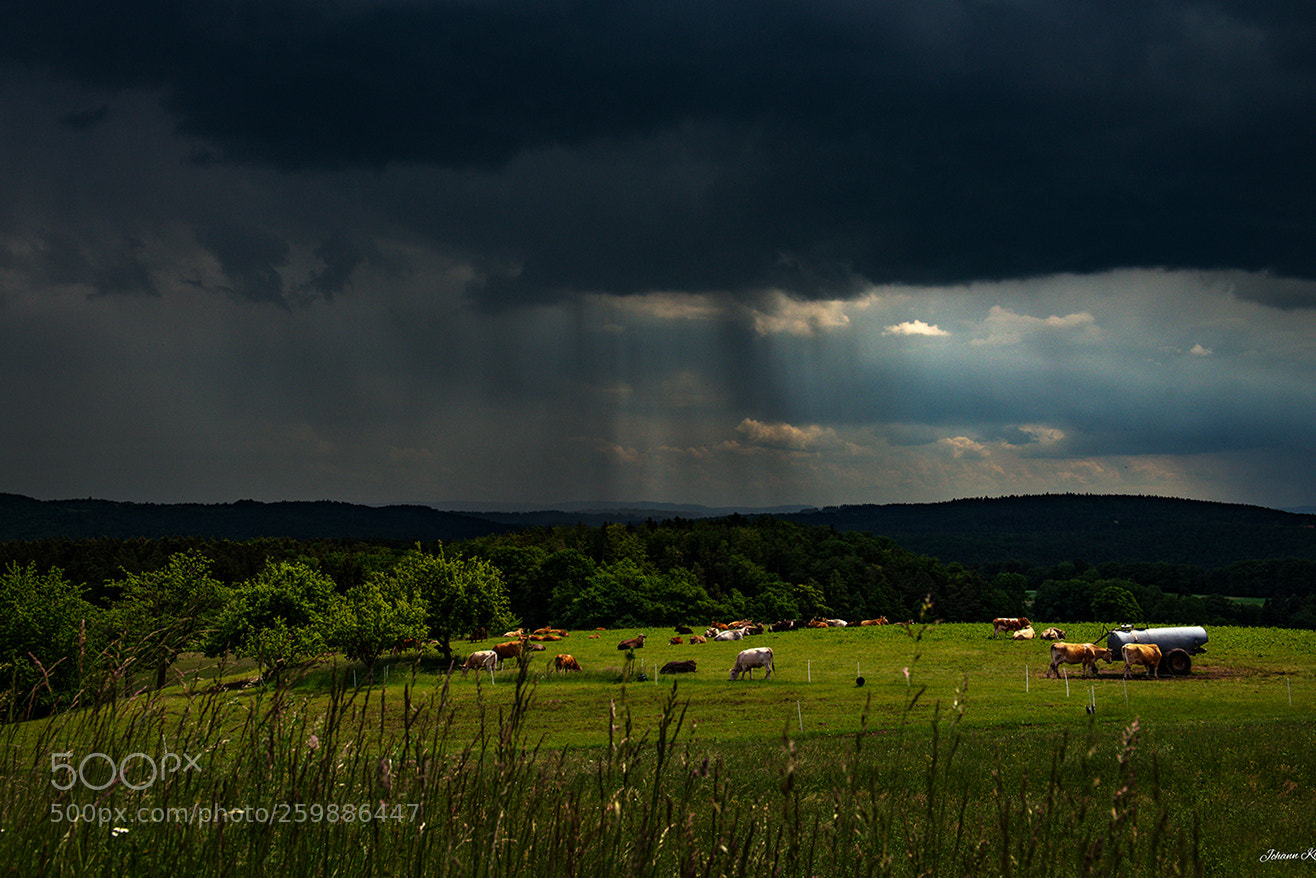 Nikon D800 sample photo. Storm 2 photography