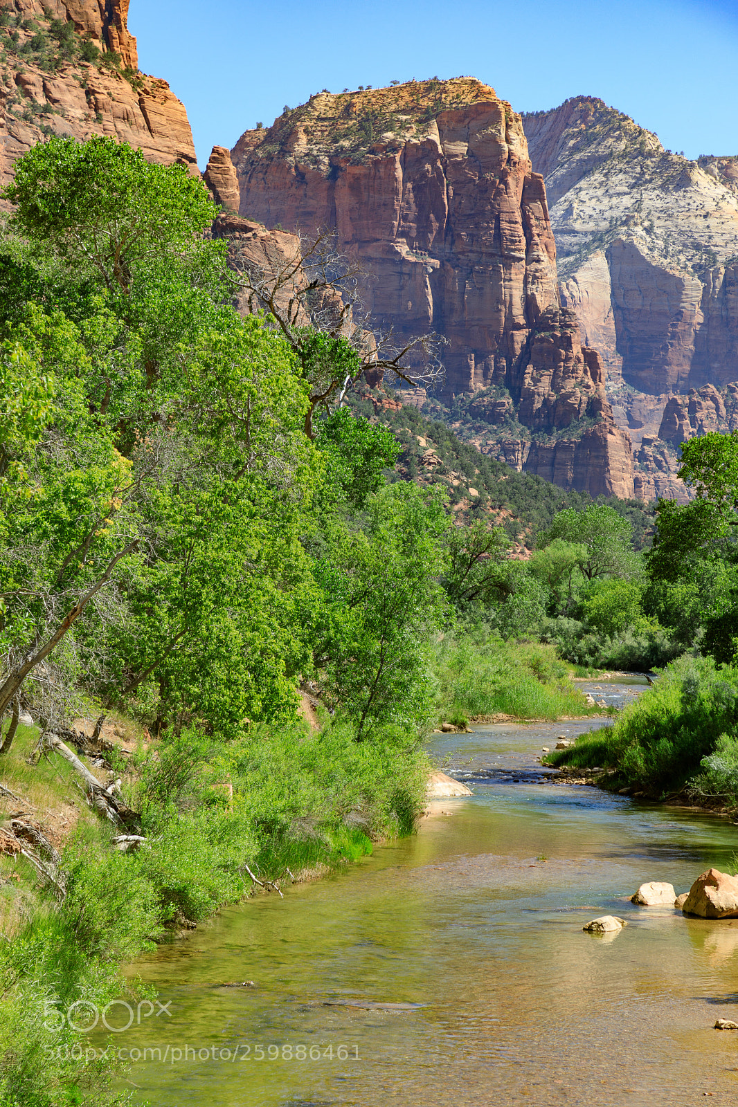Canon EOS 5D Mark IV sample photo. Zion national park 1196 photography