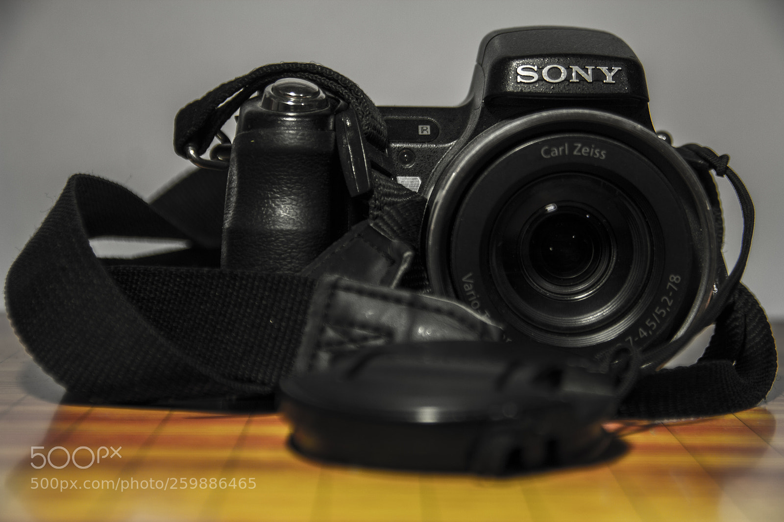Canon EOS 60D sample photo. Sony photography