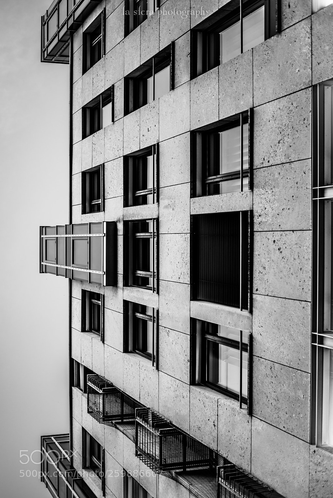 Nikon D750 sample photo. - viewpoint i //. photography