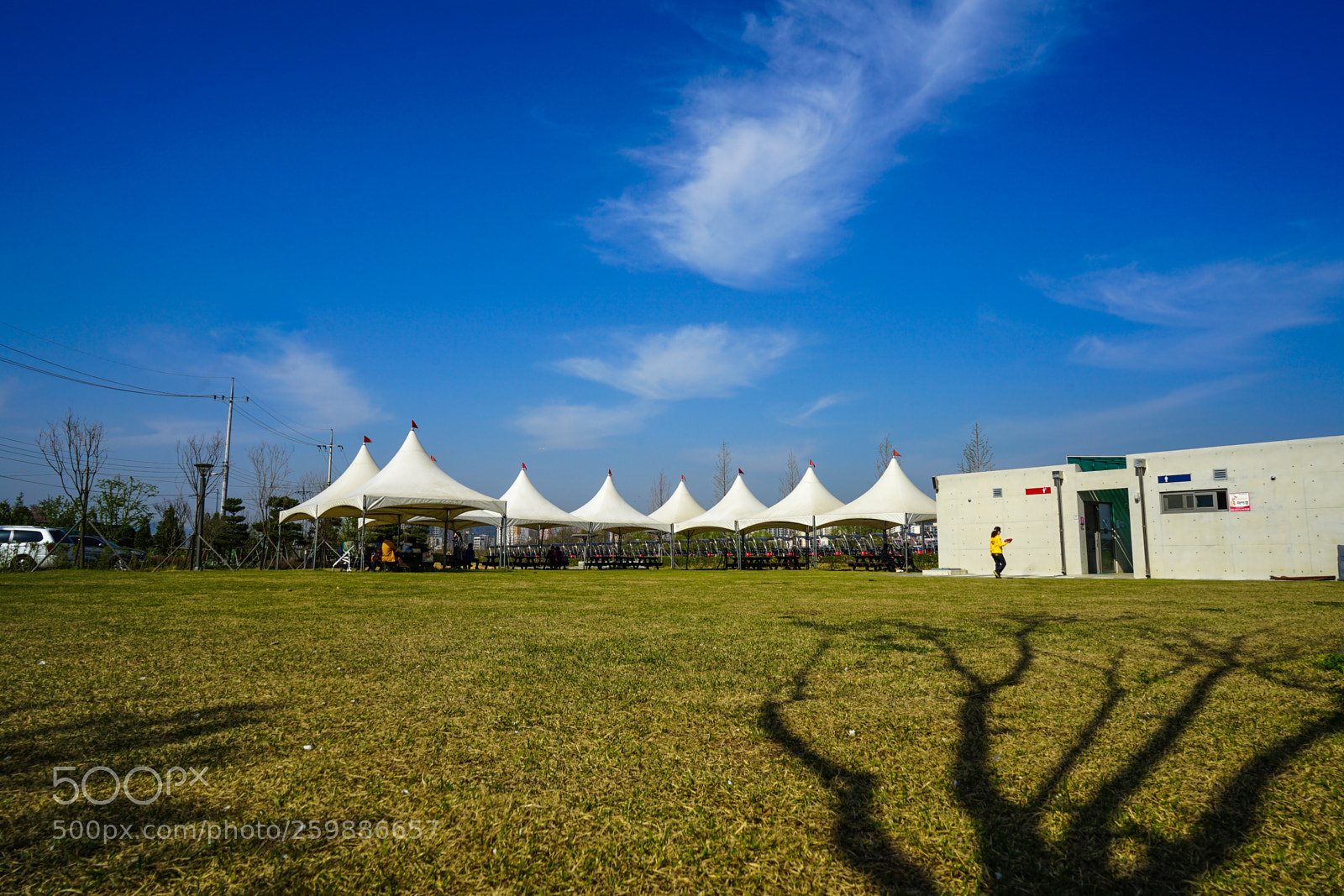 Sony a7 II sample photo. Dsc photography
