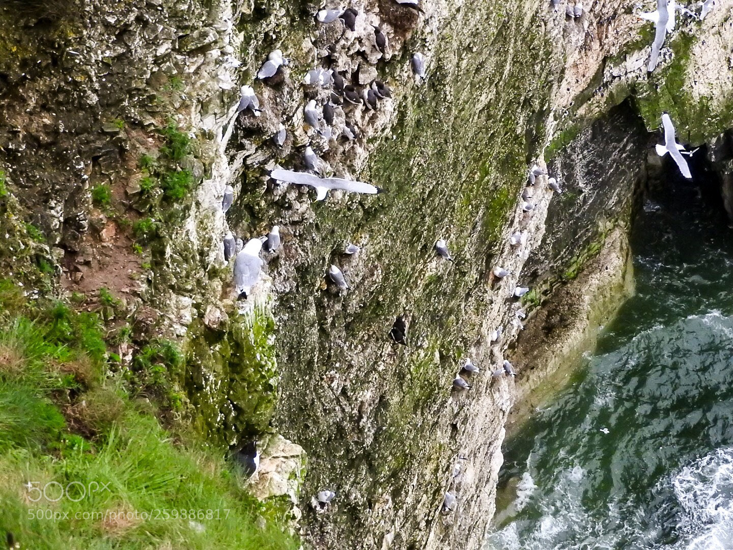 Nikon Coolpix P610 sample photo. Above the abyss photography