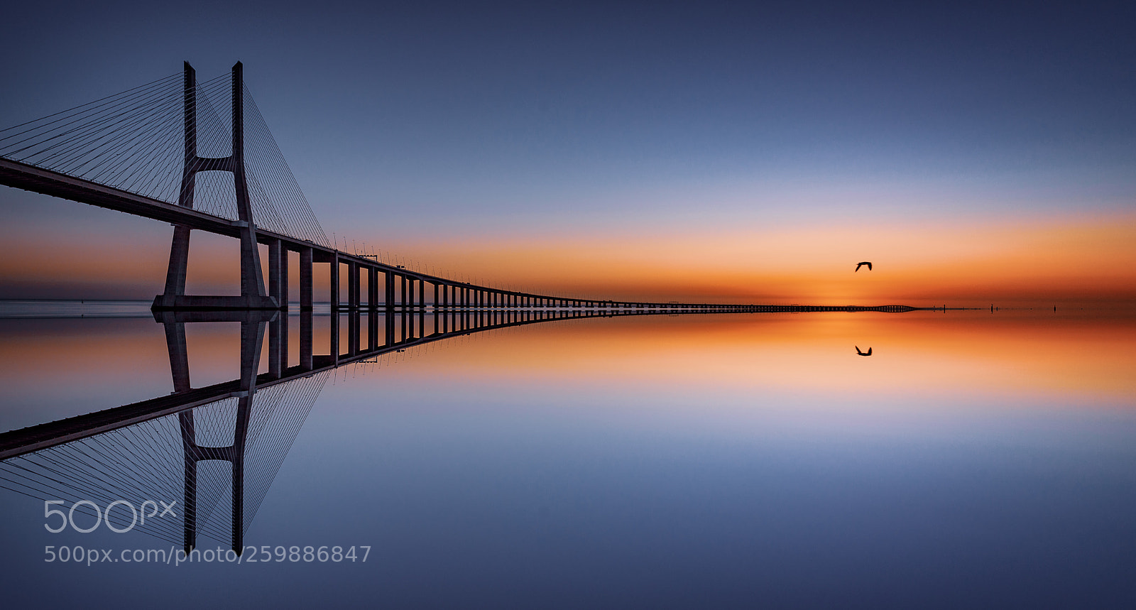 Nikon D750 sample photo. The art of reflection photography