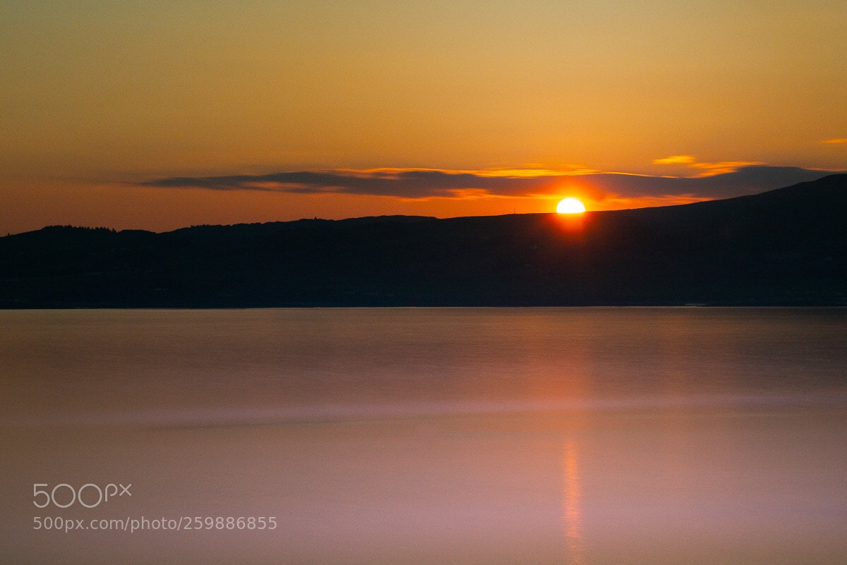 Nikon D810 sample photo. Peace  photography