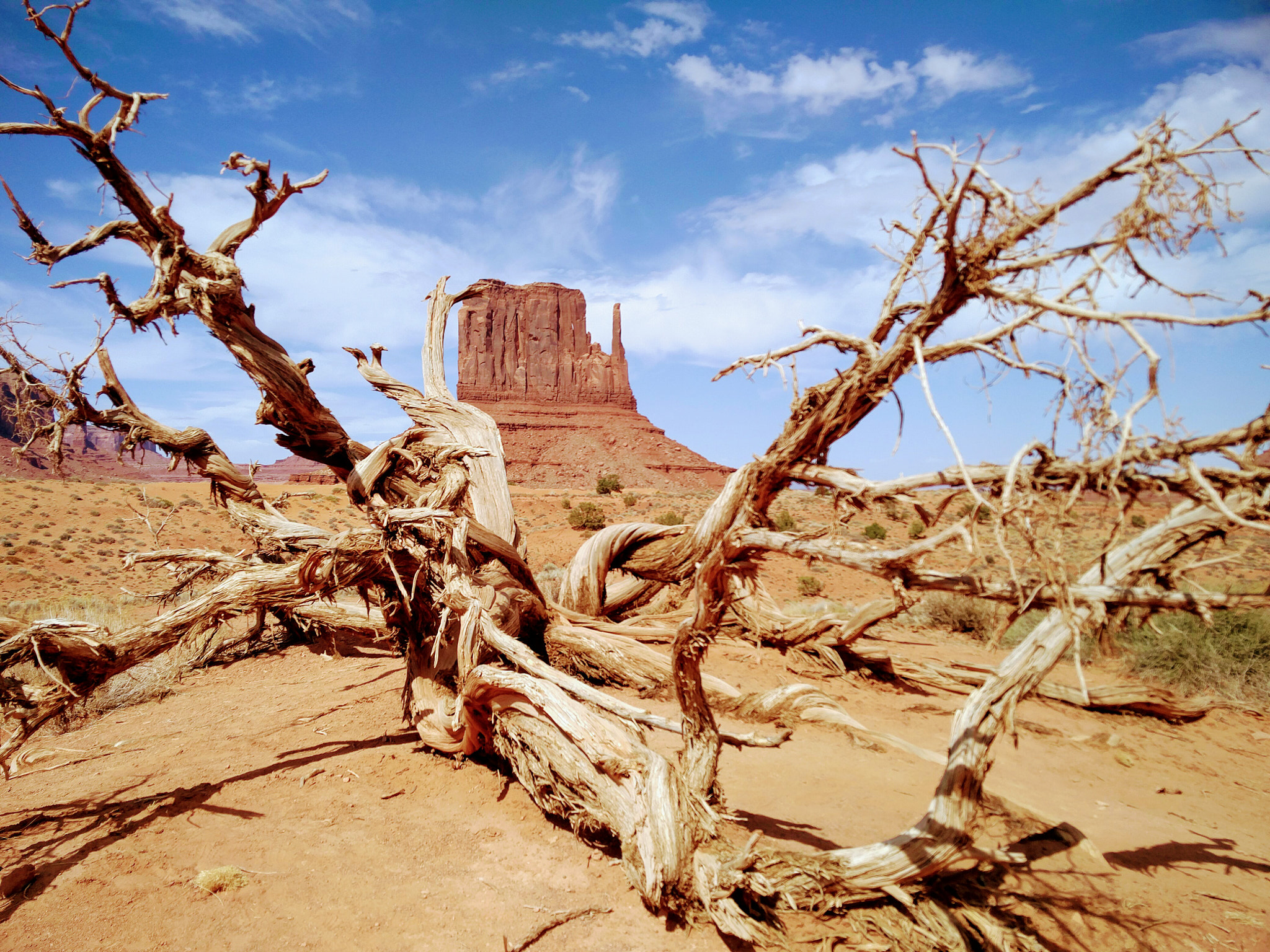 OnePlus 2 sample photo. Navajo's land silence of the golden sand photography