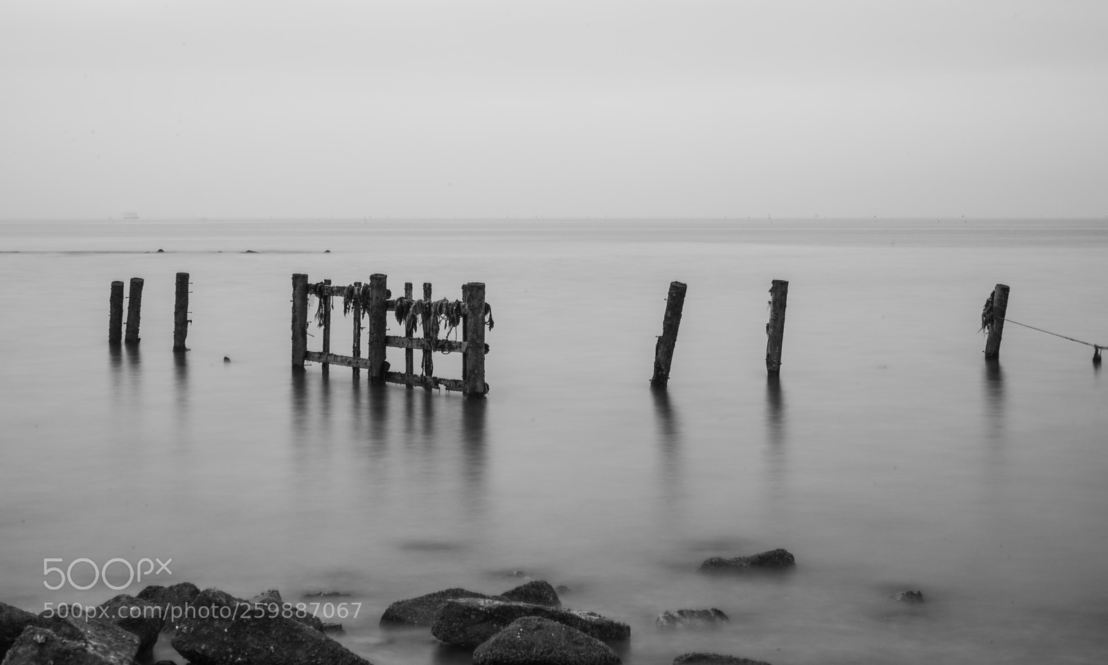 Sony a7 II sample photo. Dsc photography