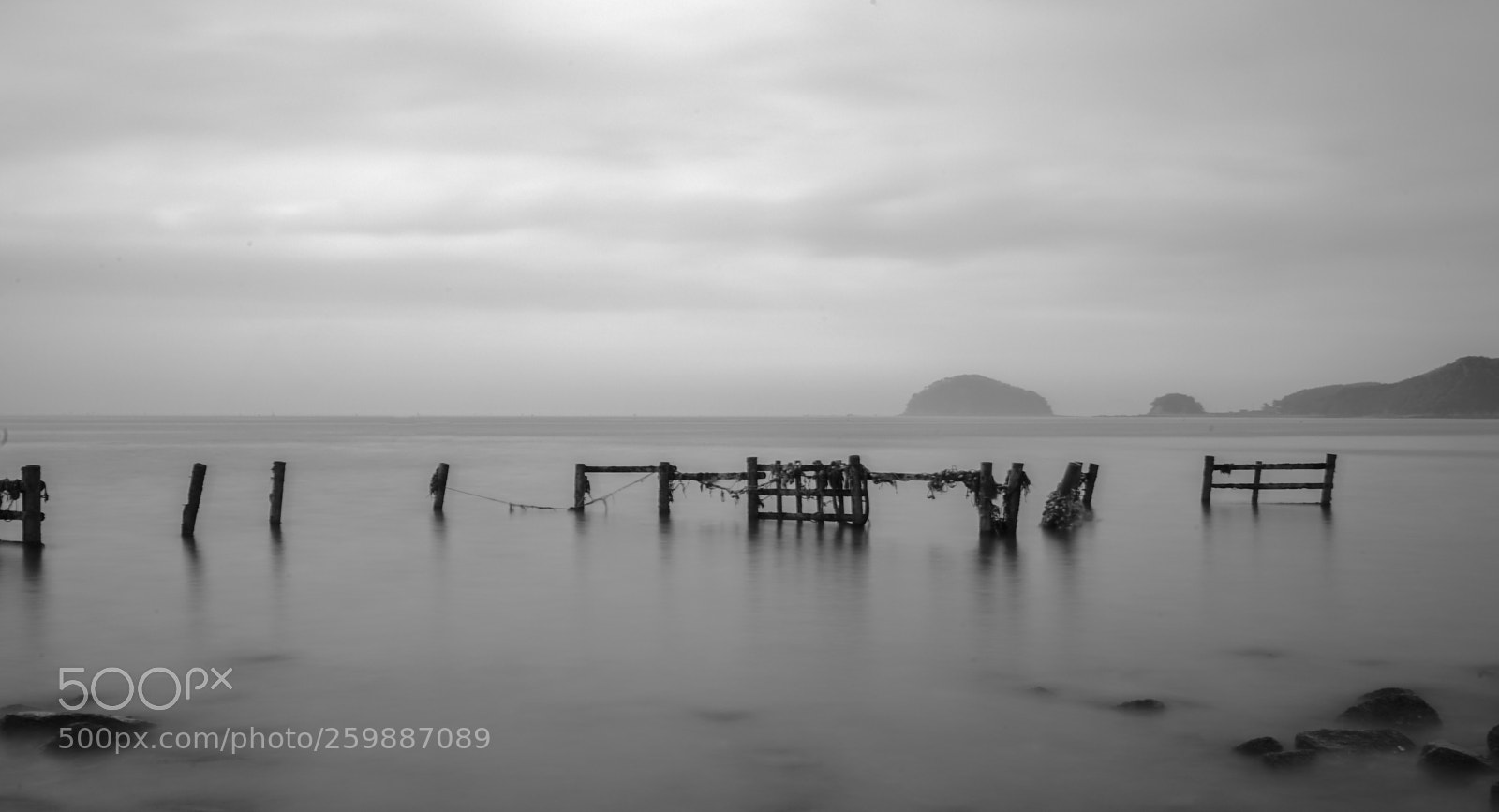 Sony a7 II sample photo. Dsc photography
