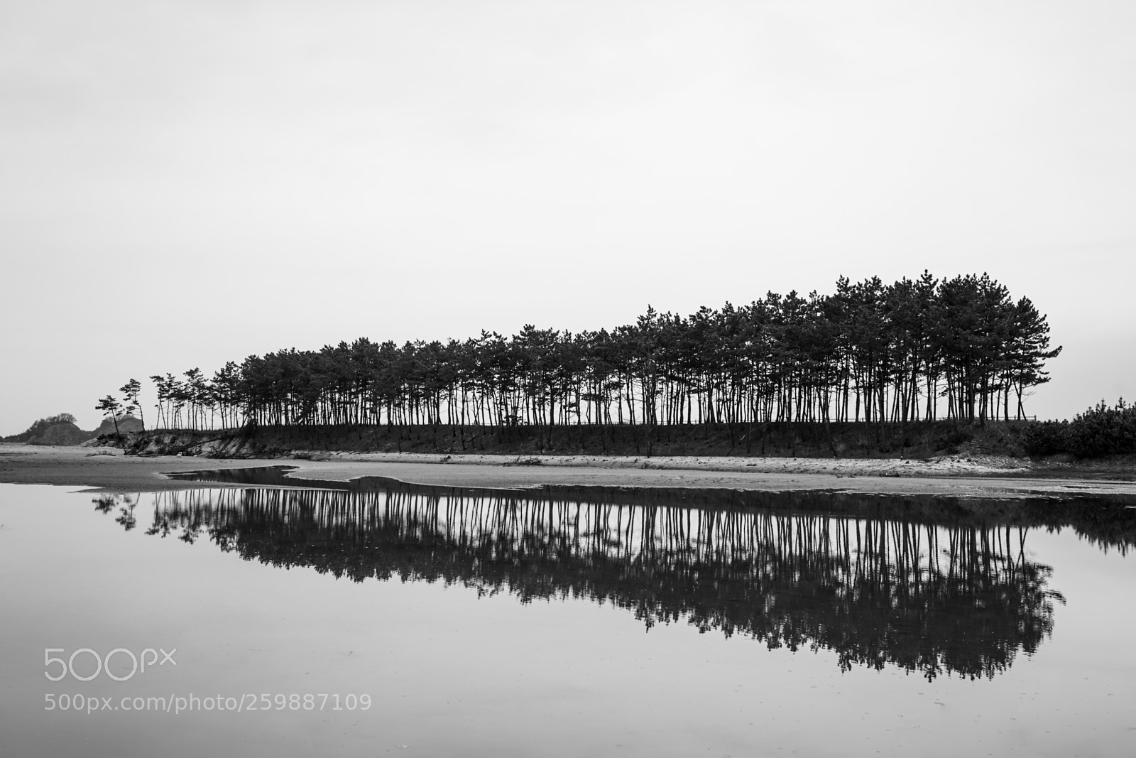 Sony a7 II sample photo. Dsc photography