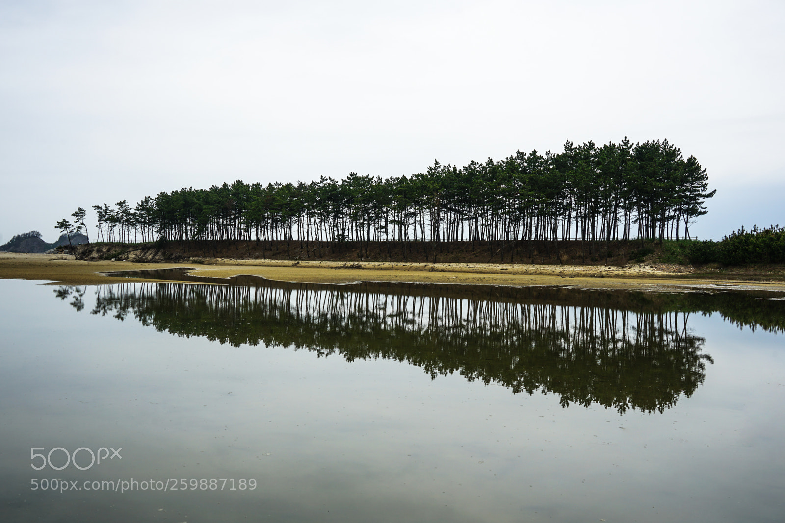 Sony a7 II sample photo. Dsc photography