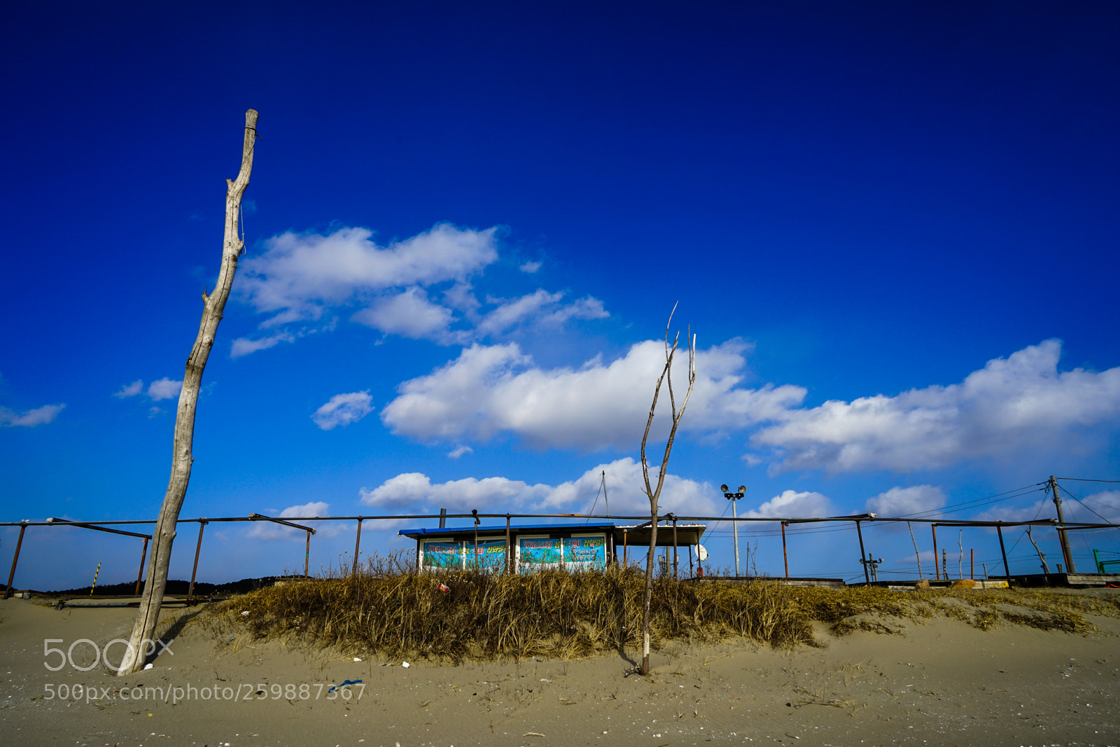 Sony a7 II sample photo. Dsc photography