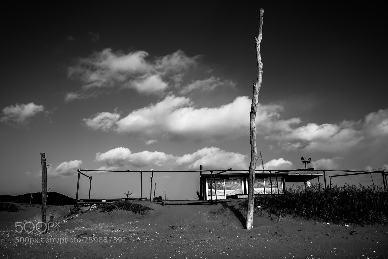 Sony a7 II sample photo. Dsc photography