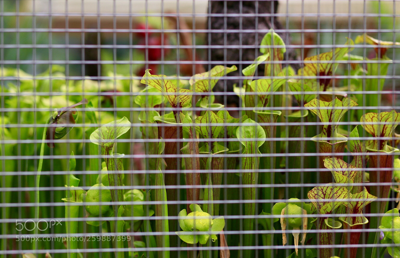 Canon EOS 6D sample photo. Untitled photography