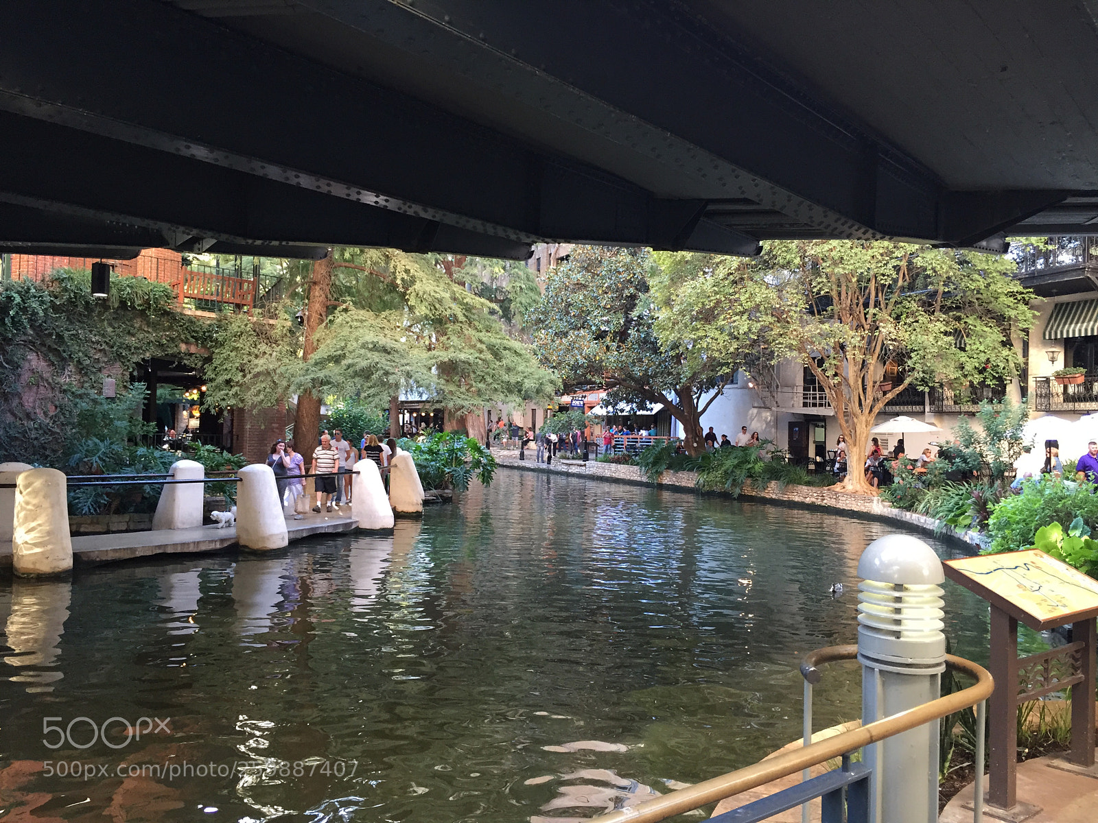 Apple iPhone 6 sample photo. Img photography