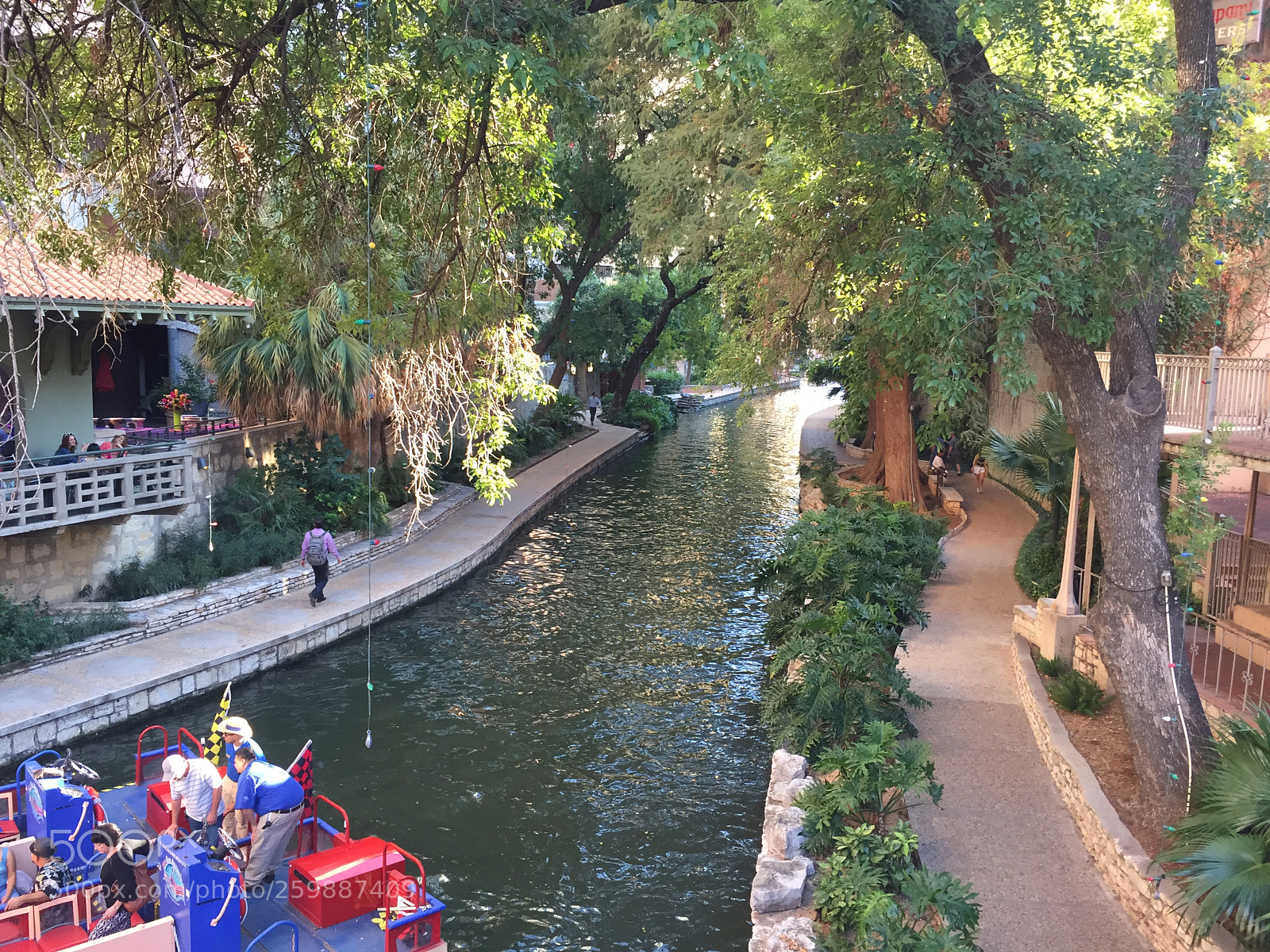 Apple iPhone 6 sample photo. Img photography
