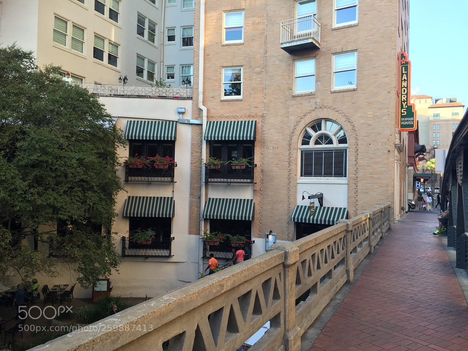Apple iPhone 6 sample photo. Img photography