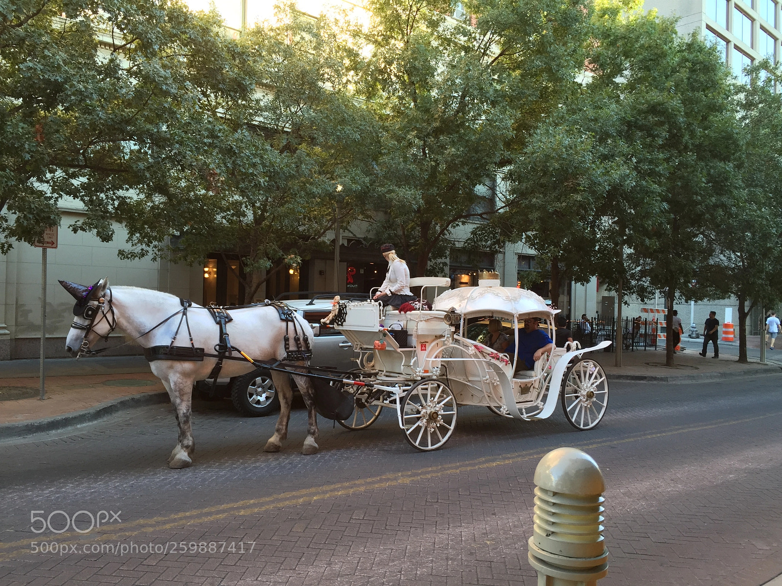 Apple iPhone 6 sample photo. Img photography