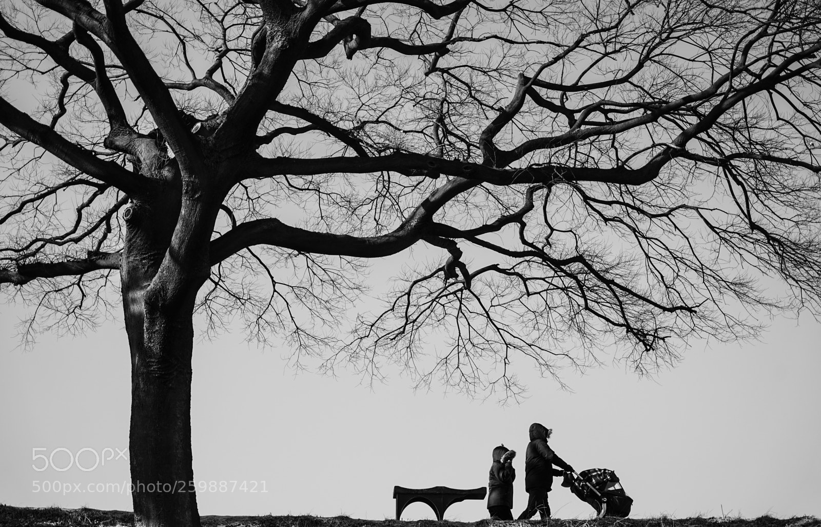 Sony a7 II sample photo. Dsc photography
