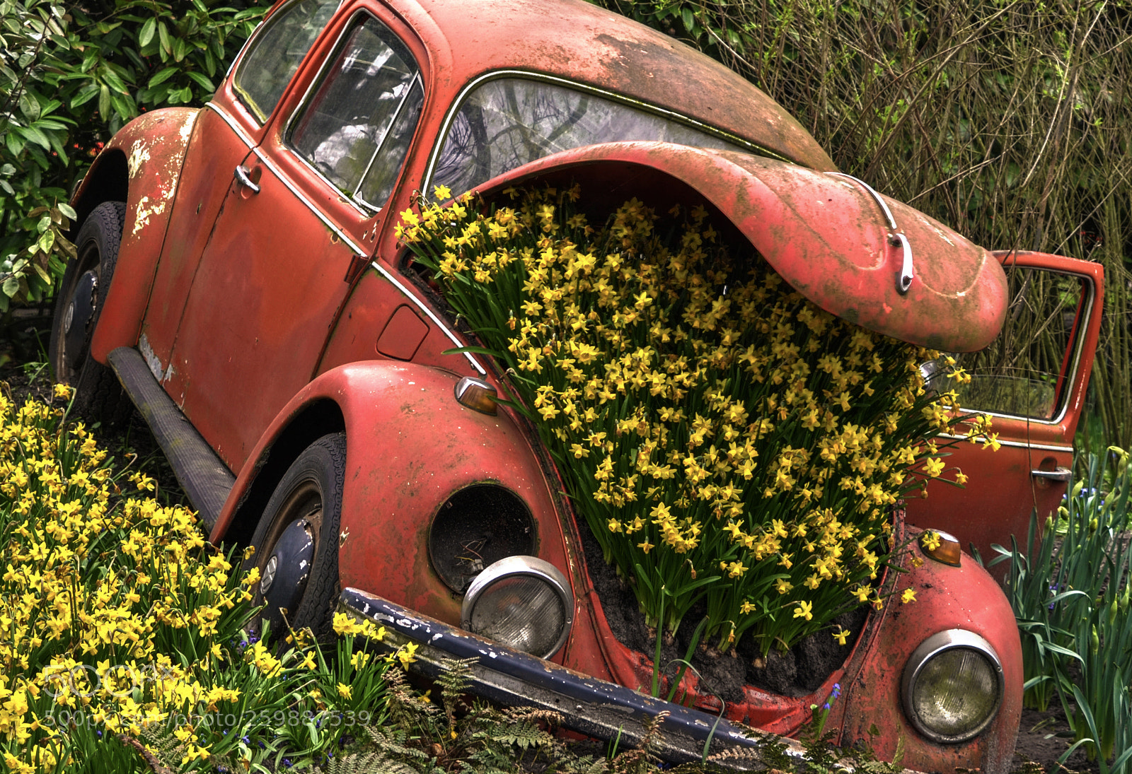 Nikon D5100 sample photo. Flowered ii photography
