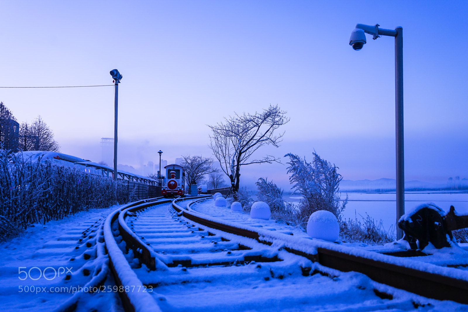 Sony a7 II sample photo. Dsc photography