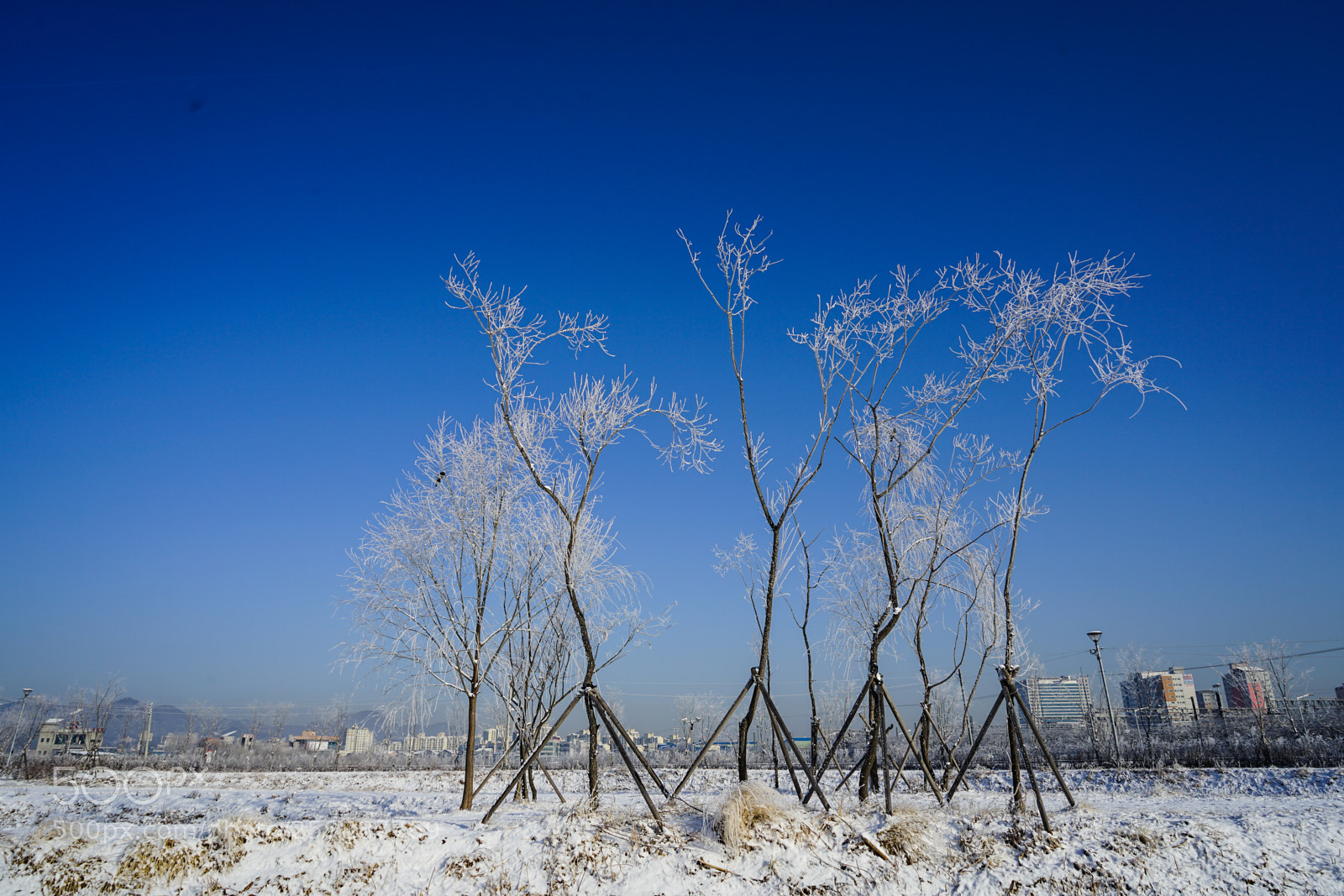 Sony a7 II sample photo. Dsc photography