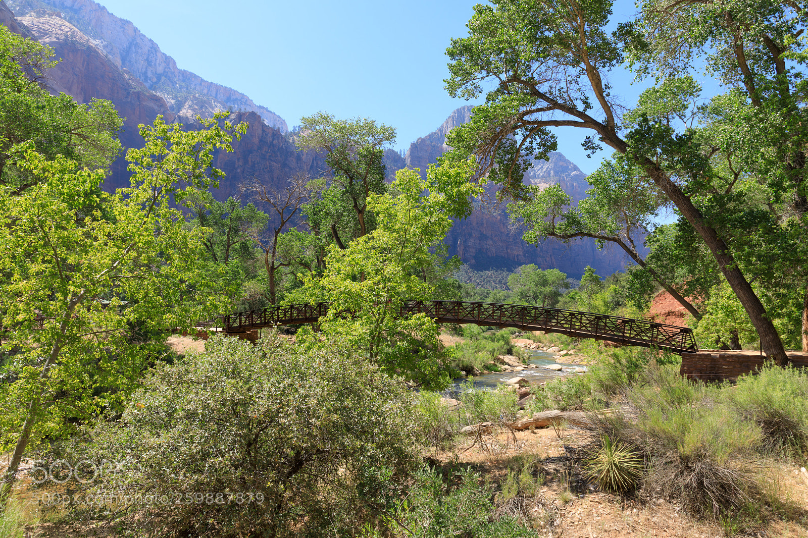 Canon EOS 5D Mark IV sample photo. Zion national park 1197 photography
