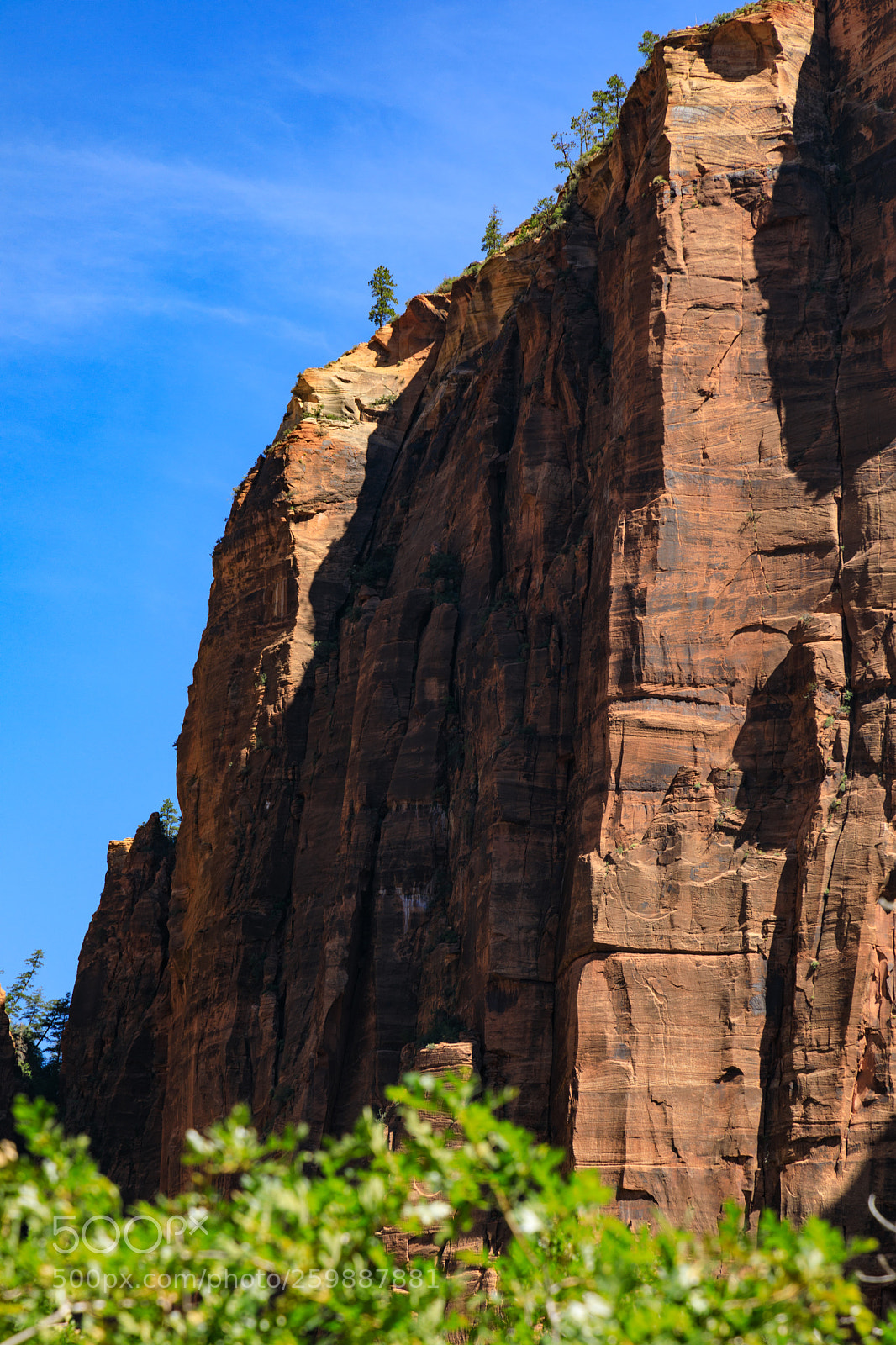 Canon EOS 5D Mark IV sample photo. Zion national park 1211 photography