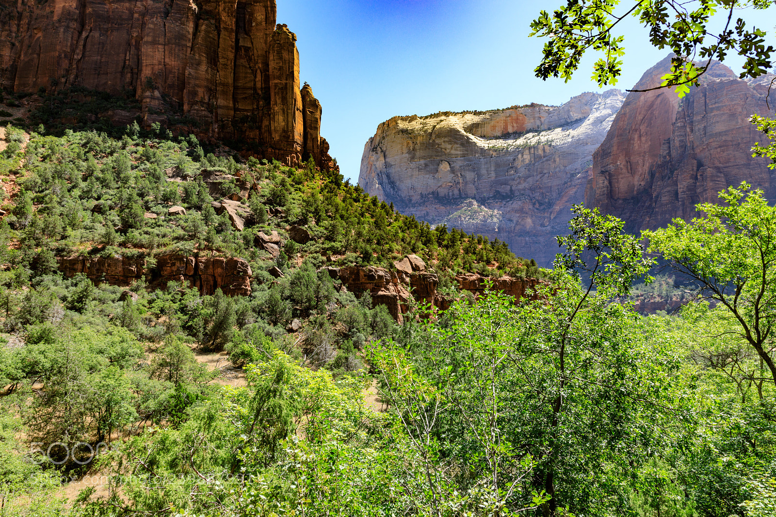 Canon EOS 5D Mark IV sample photo. Zion national park 1215 photography