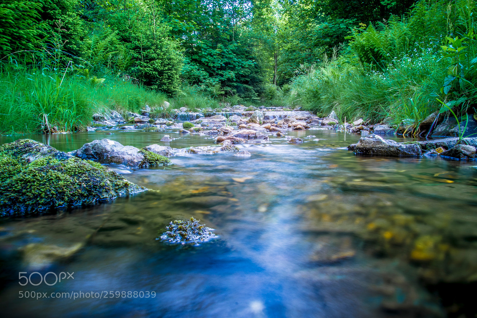 Canon EOS 700D (EOS Rebel T5i / EOS Kiss X7i) sample photo. Altenberg photography