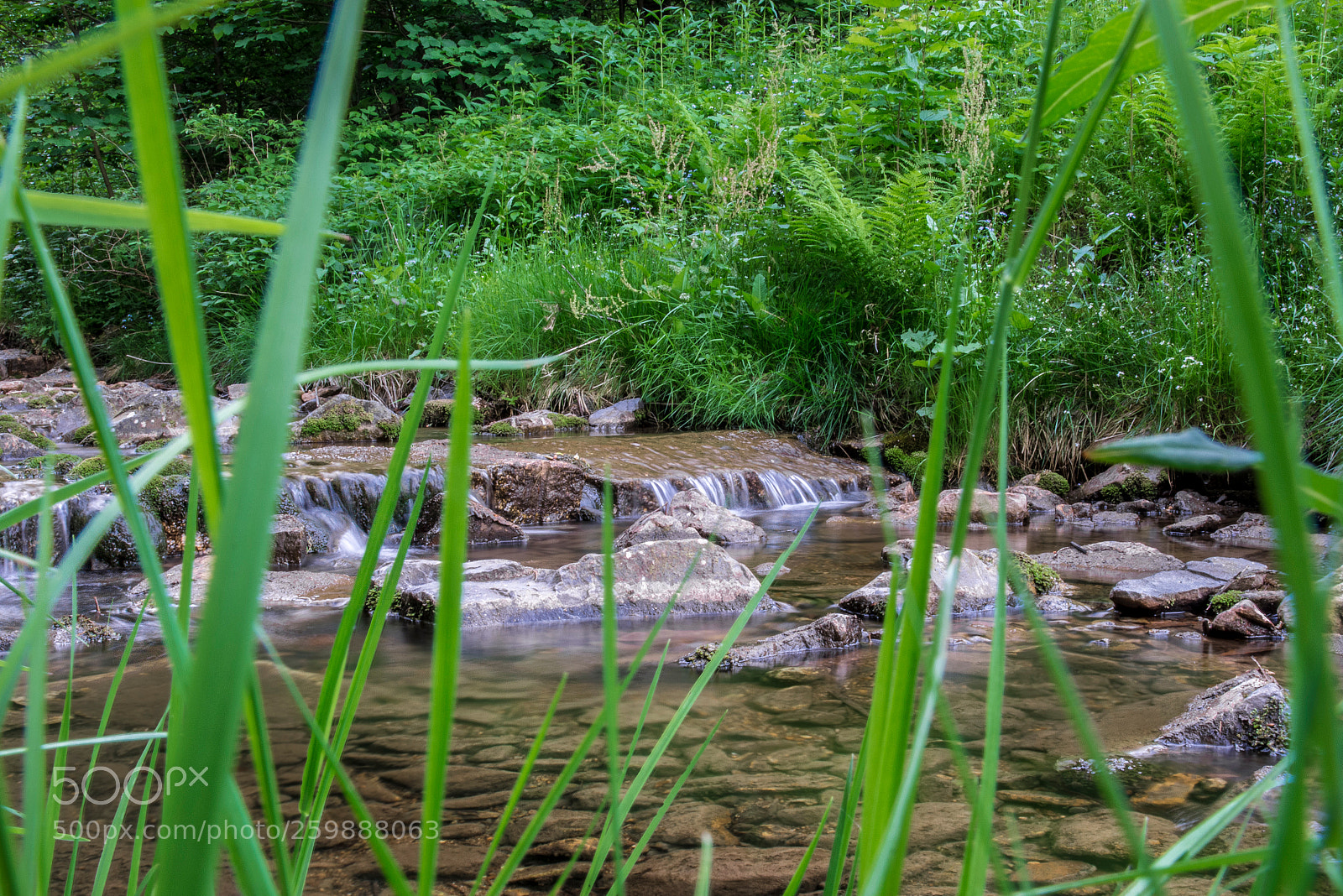 Canon EOS 700D (EOS Rebel T5i / EOS Kiss X7i) sample photo. Altenberg photography